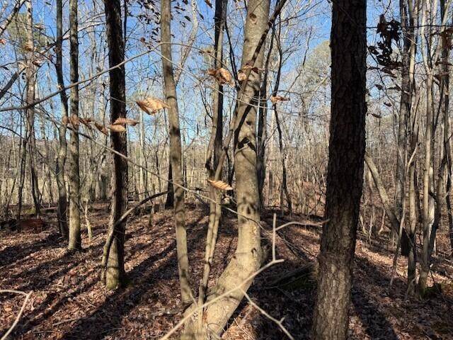 1 County Road 751, Valley Head, AL 35989
