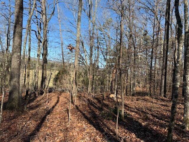 2 County Road 751, Valley Head, AL 35989