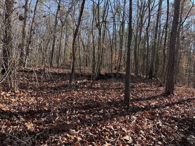 2 County Road 751, Valley Head, AL 35989