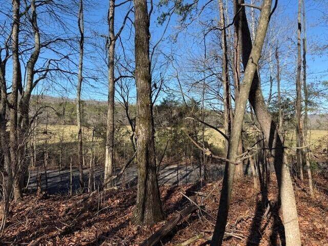 2 County Road 751, Valley Head, AL 35989