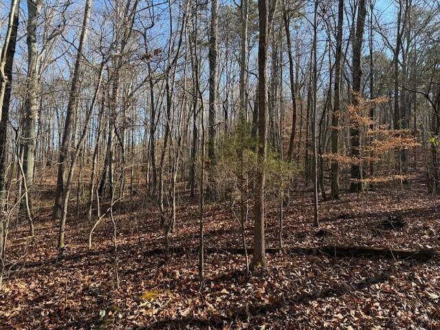 2 County Road 751, Valley Head, AL 35989