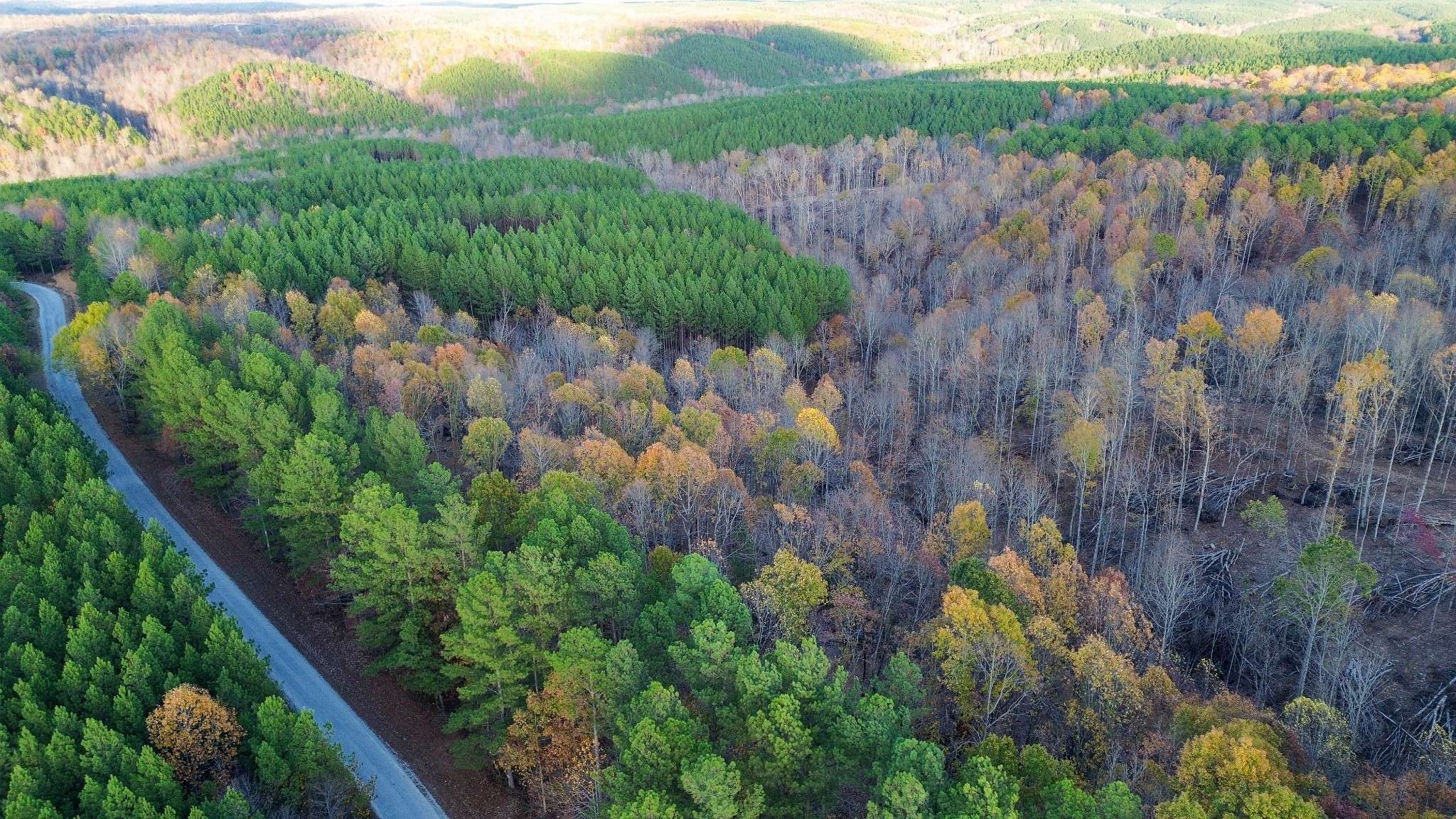 0 Sassafras Stand Ridge Rd, Linden, TN 37096