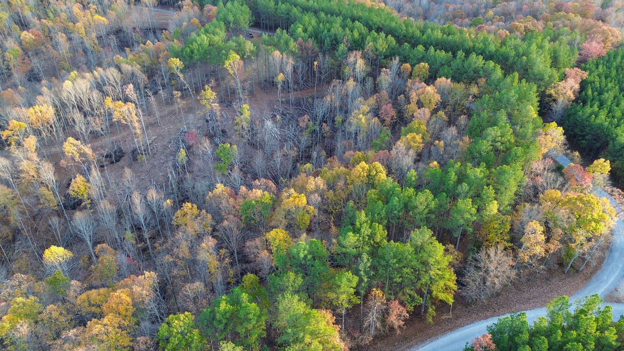 0 Sassafras Stand Ridge Rd, Linden, TN 37096