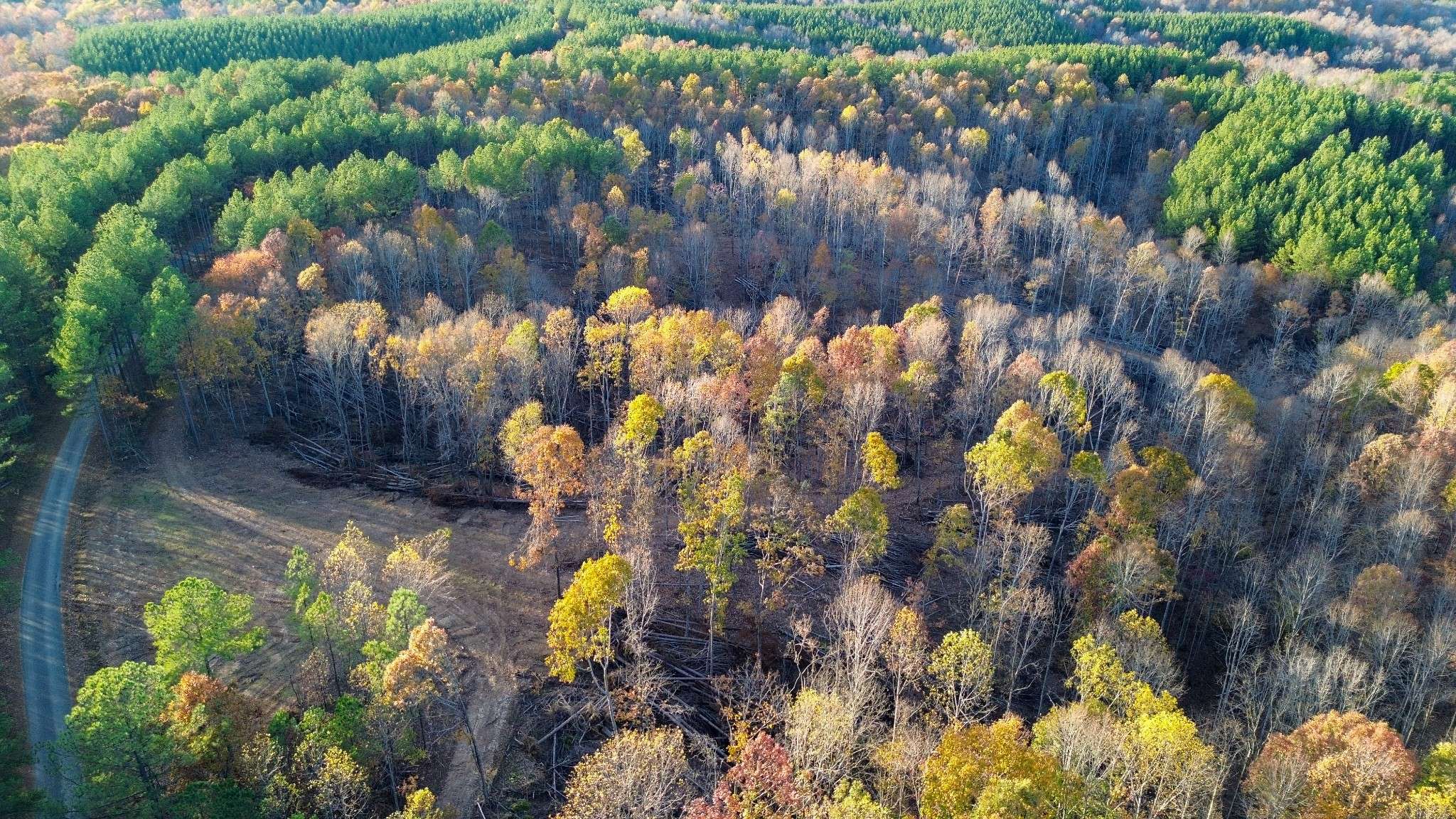 0 Sassafras Stand Ridge Rd, Linden, TN 37096