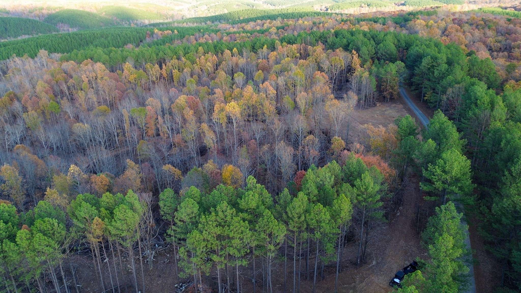 0 Sassafras Stand Ridge Rd, Linden, TN 37096