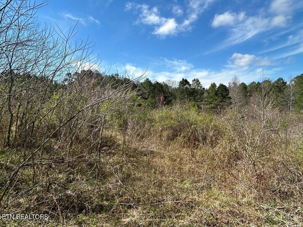 0 Holt Spur Drive, Jamestown, TN 38556