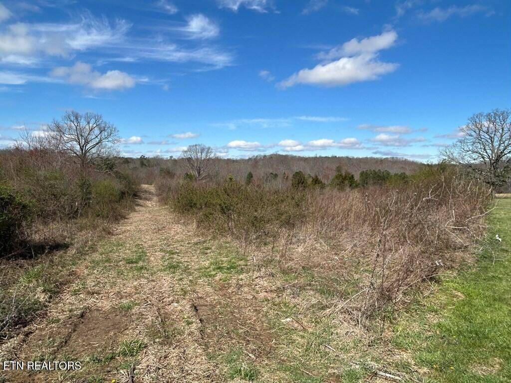 0 Holt Spur Drive, Jamestown, TN 38556