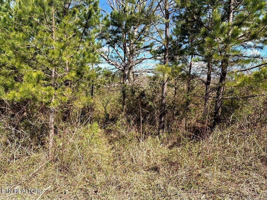 0 Holt Spur Drive, Jamestown, TN 38556