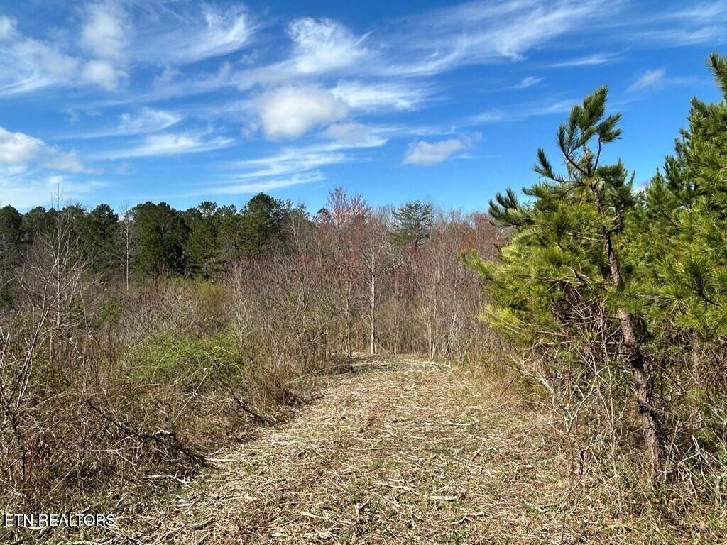 0 Holt Spur Drive, Jamestown, TN 38556