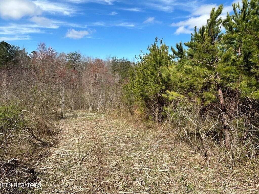 0 Holt Spur Drive, Jamestown, TN 38556