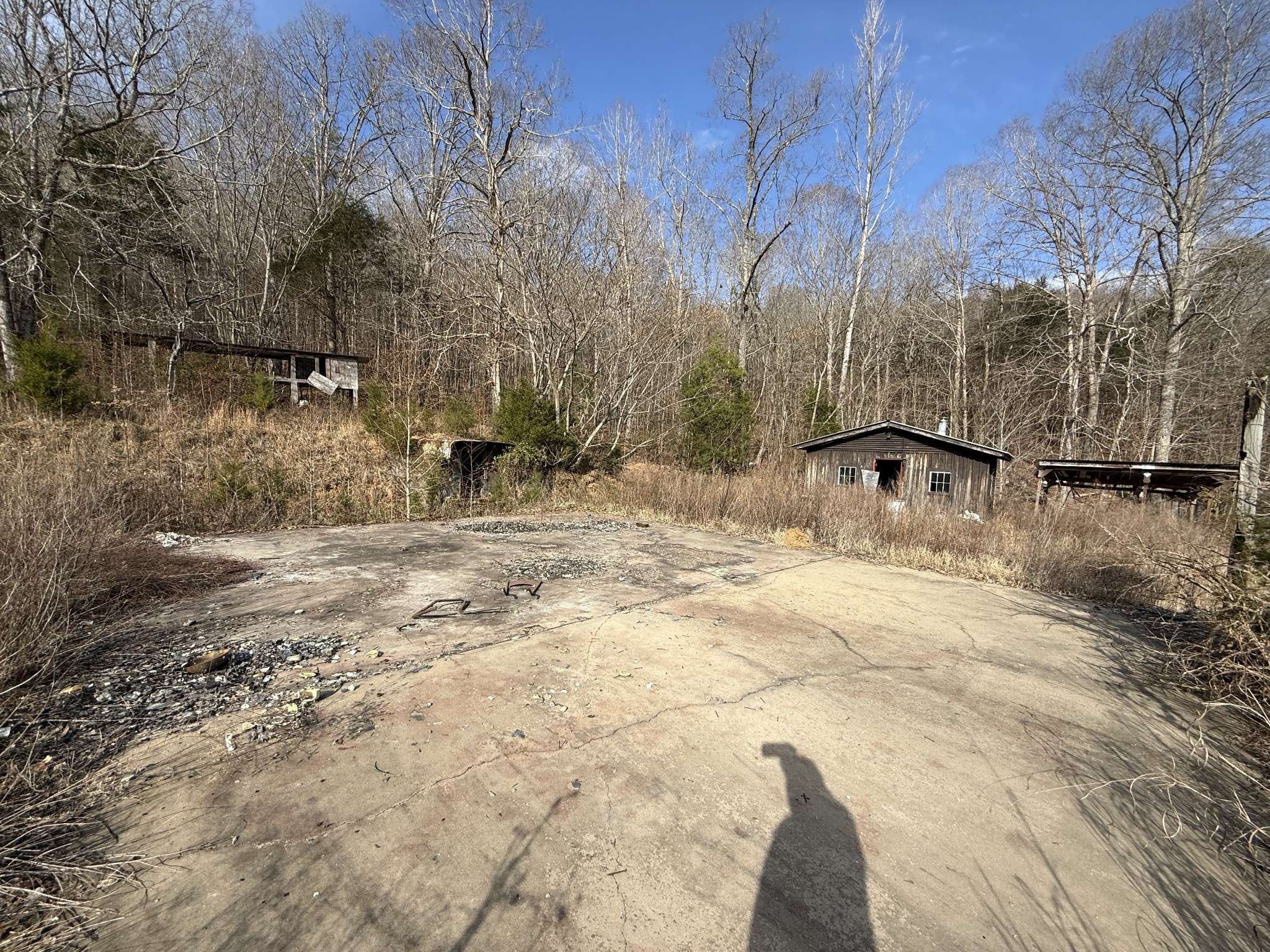 4819 Morrison Creek Rd, Clifton, TN 38425