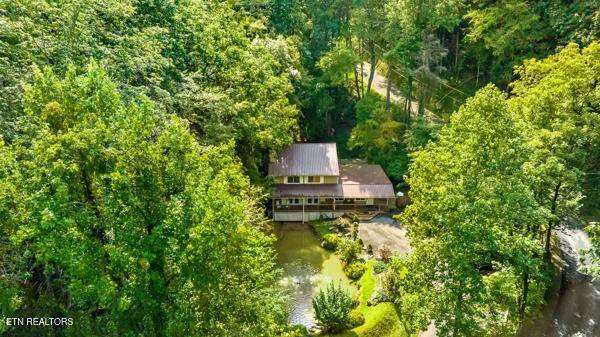 3127 Emerald Springs Loop, Sevierville, TN 37862