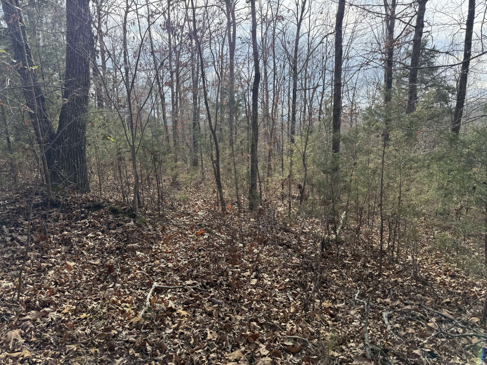 0 Riverview Rd, Clifton, TN 38425