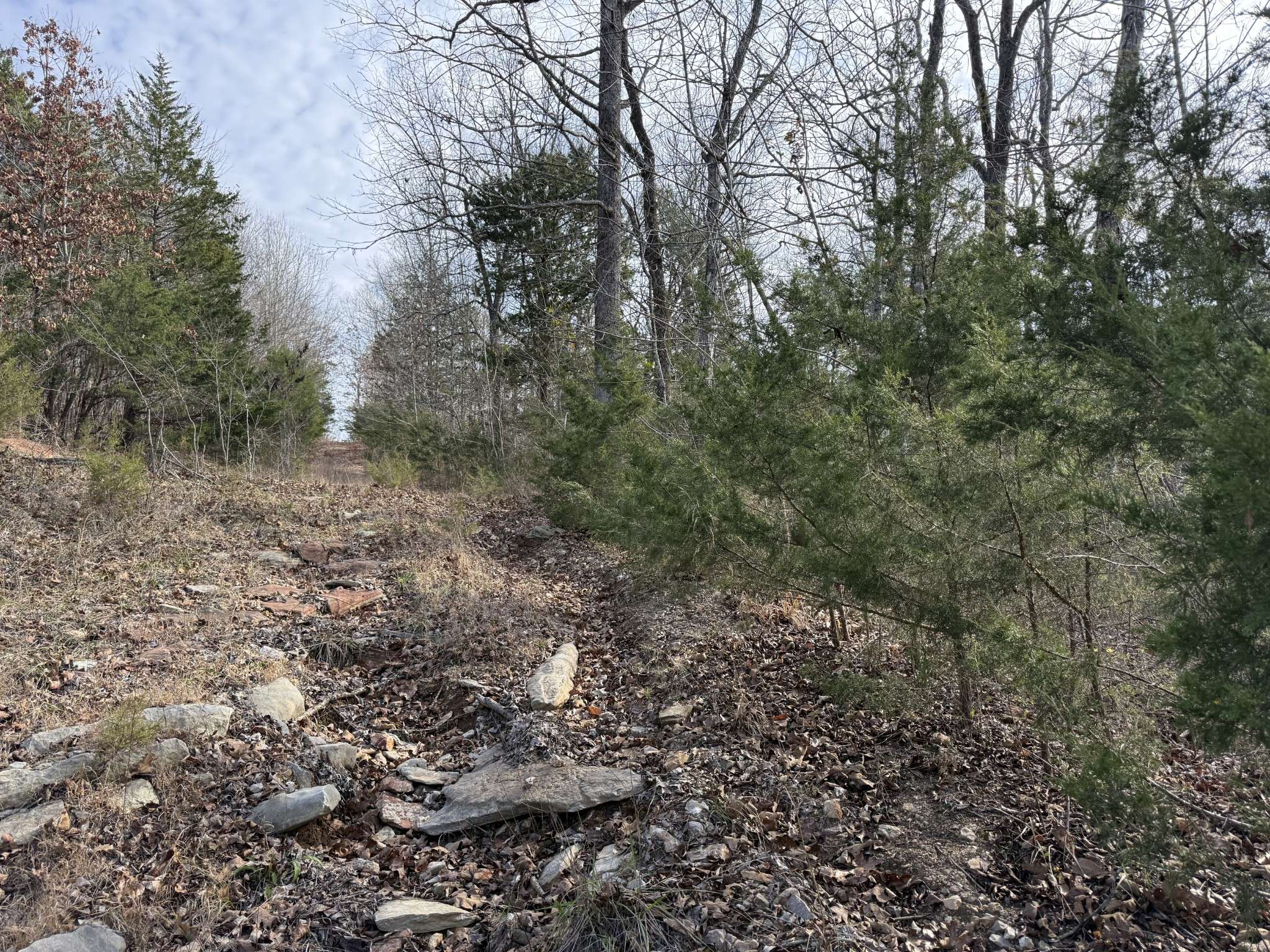 0 Riverview Rd, Clifton, TN 38425