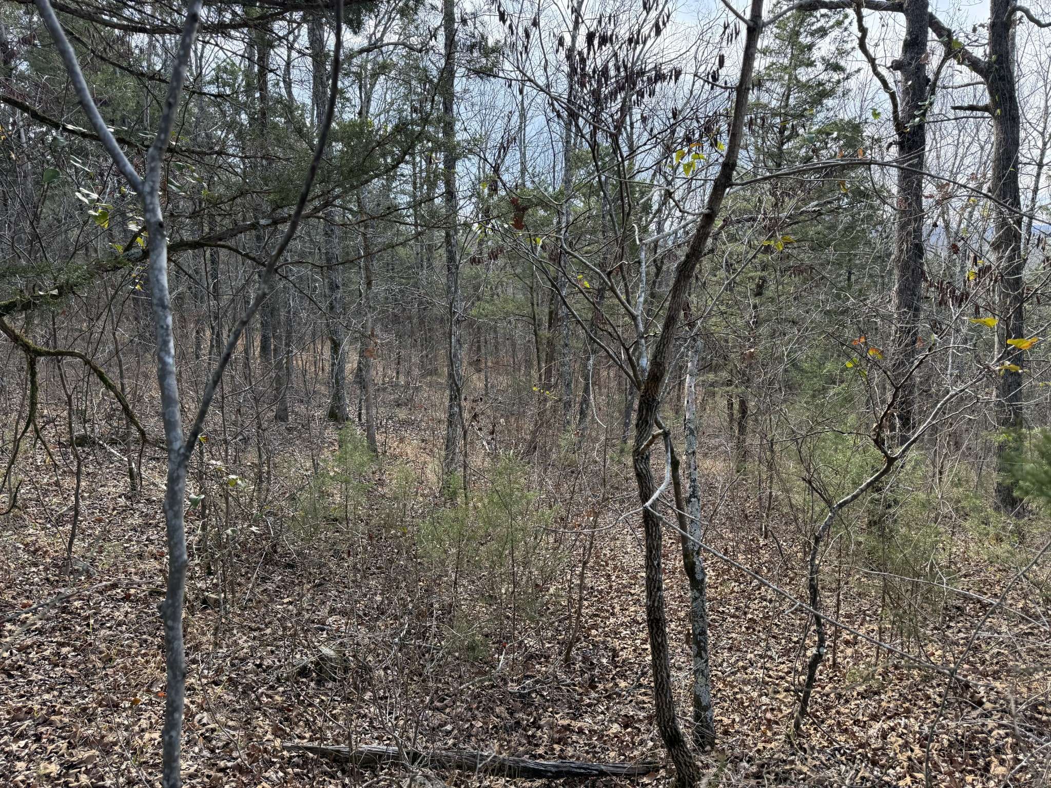 0 Riverview Rd, Clifton, TN 38425