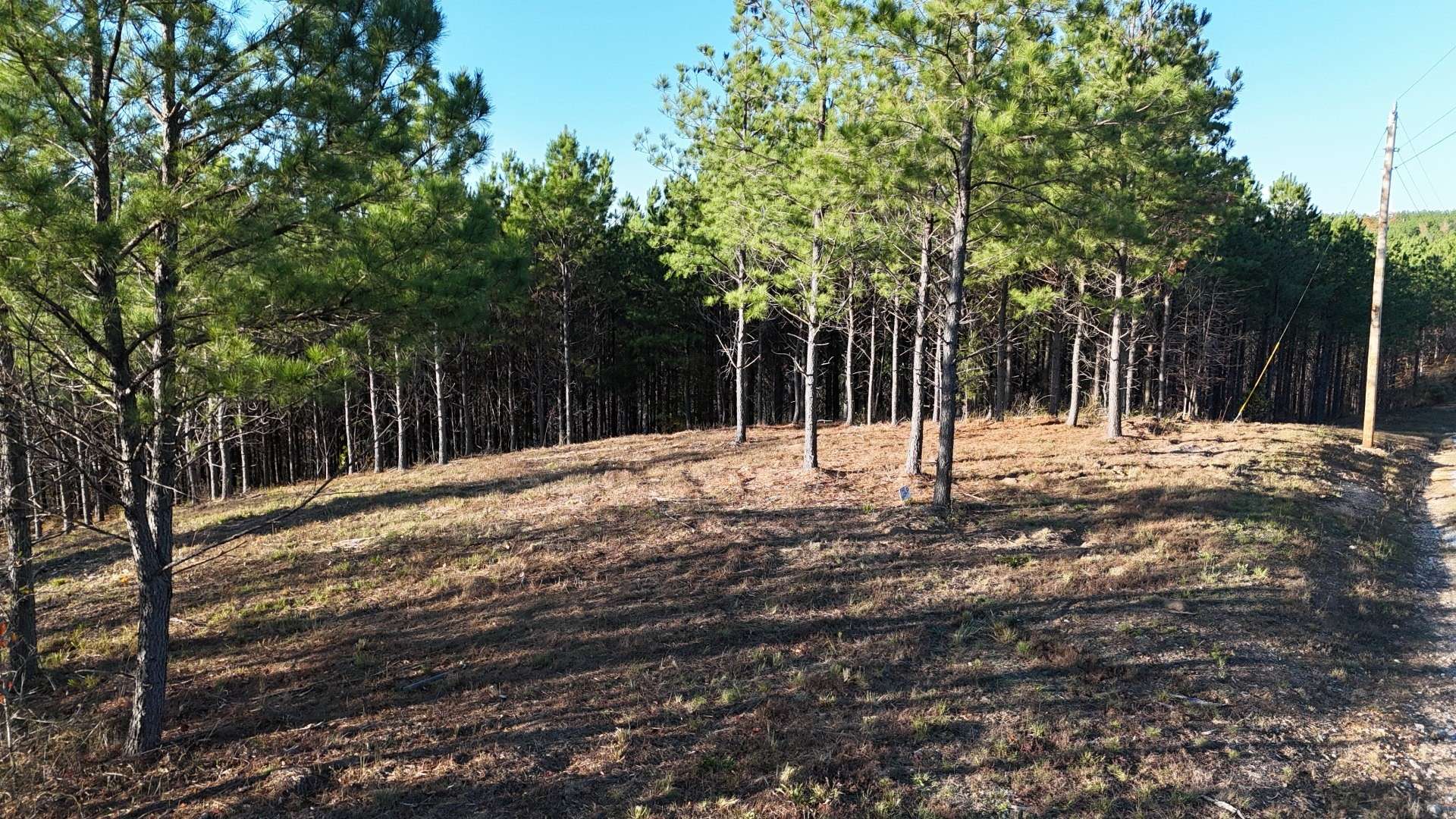 252 Streamside Dr, Linden, TN 37096