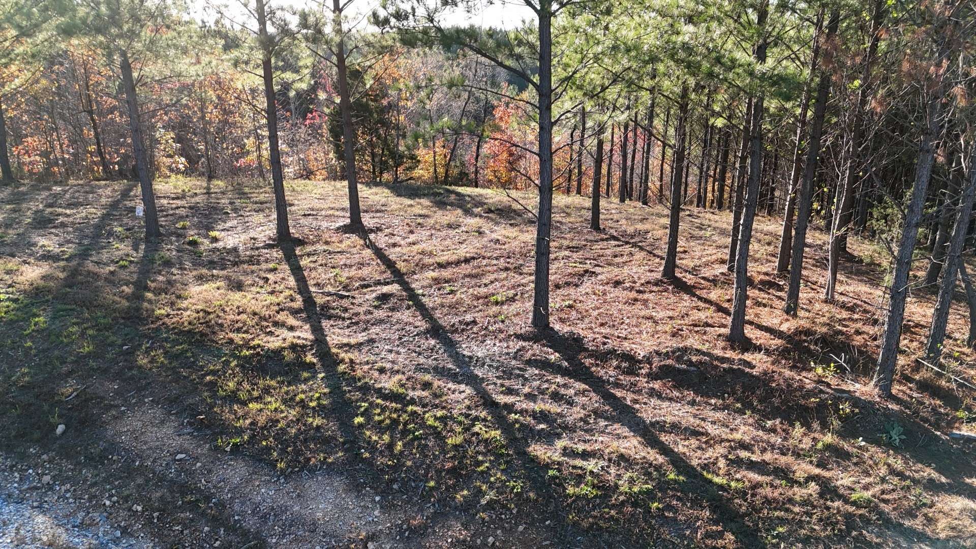 252 Streamside Dr, Linden, TN 37096