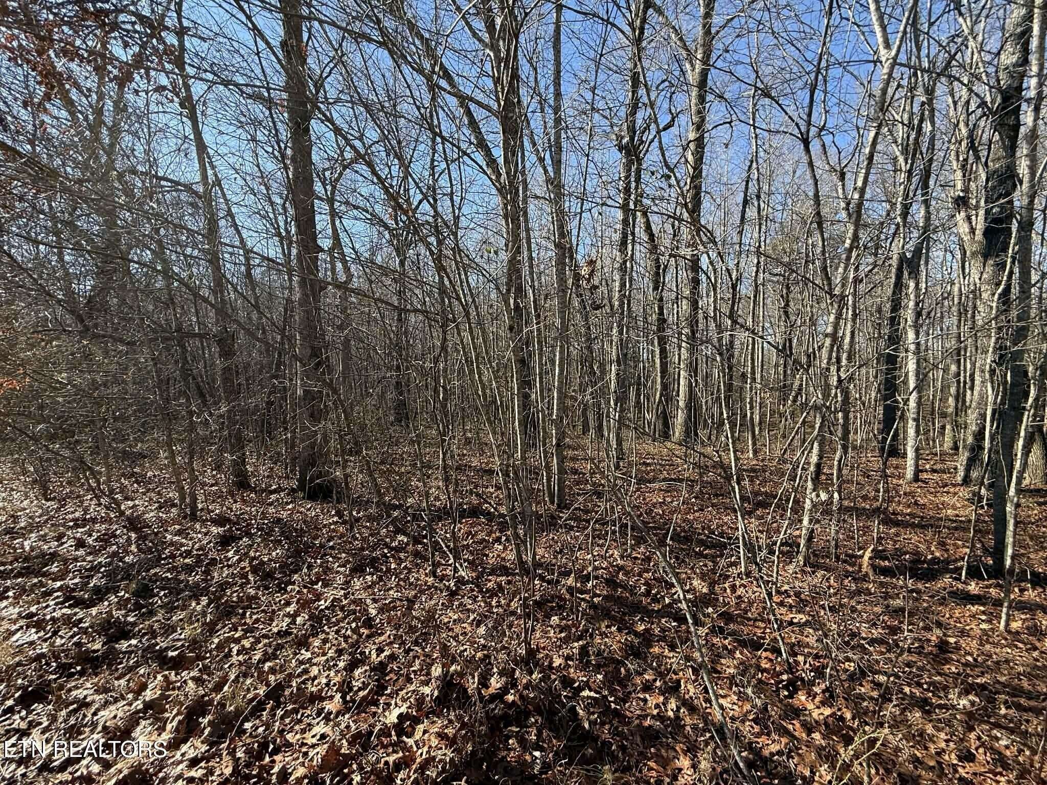0 Georgee Road, Jamestown, TN 38556