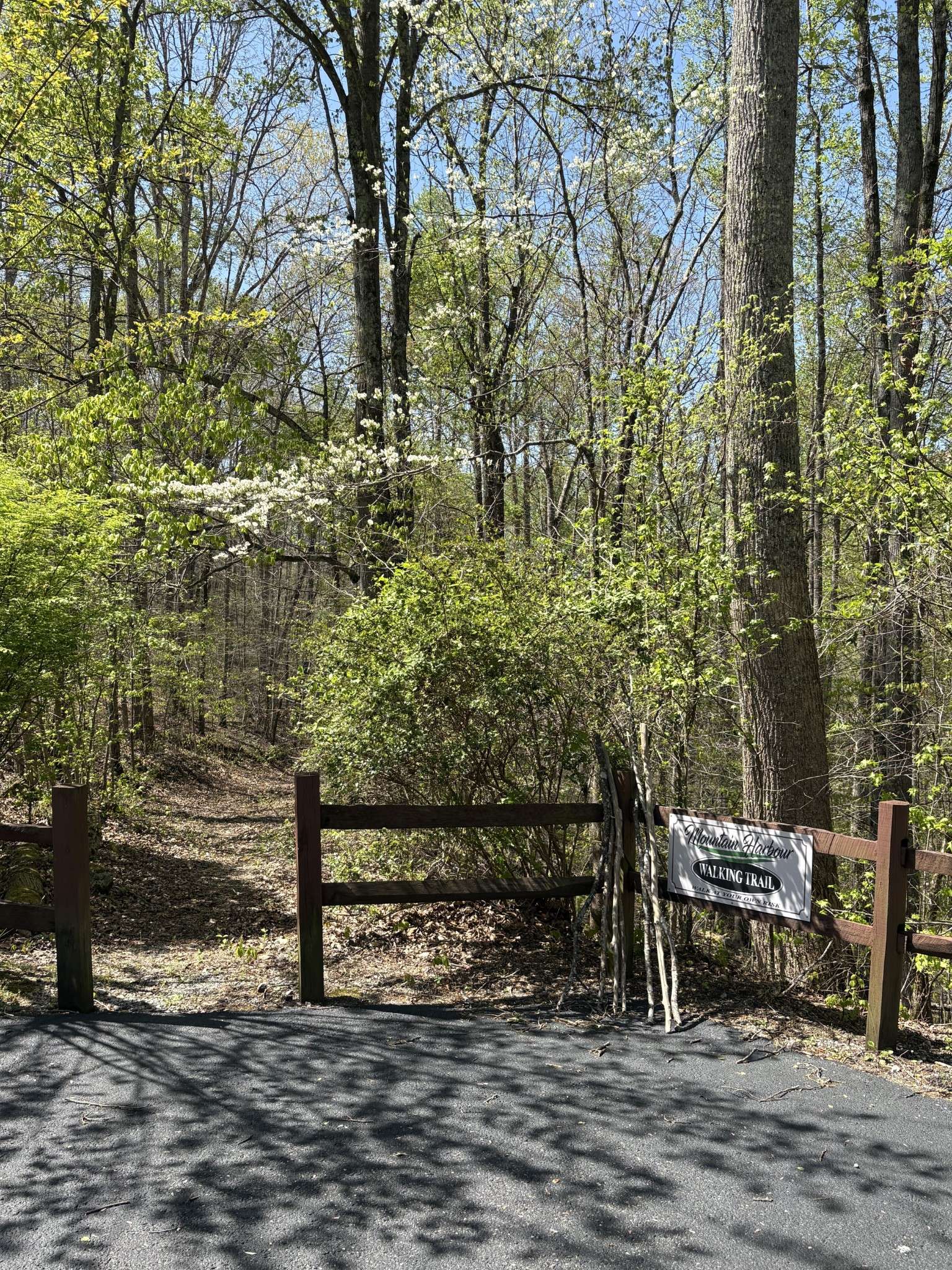 0 Harbour Park Lane, Sparta, TN 38583