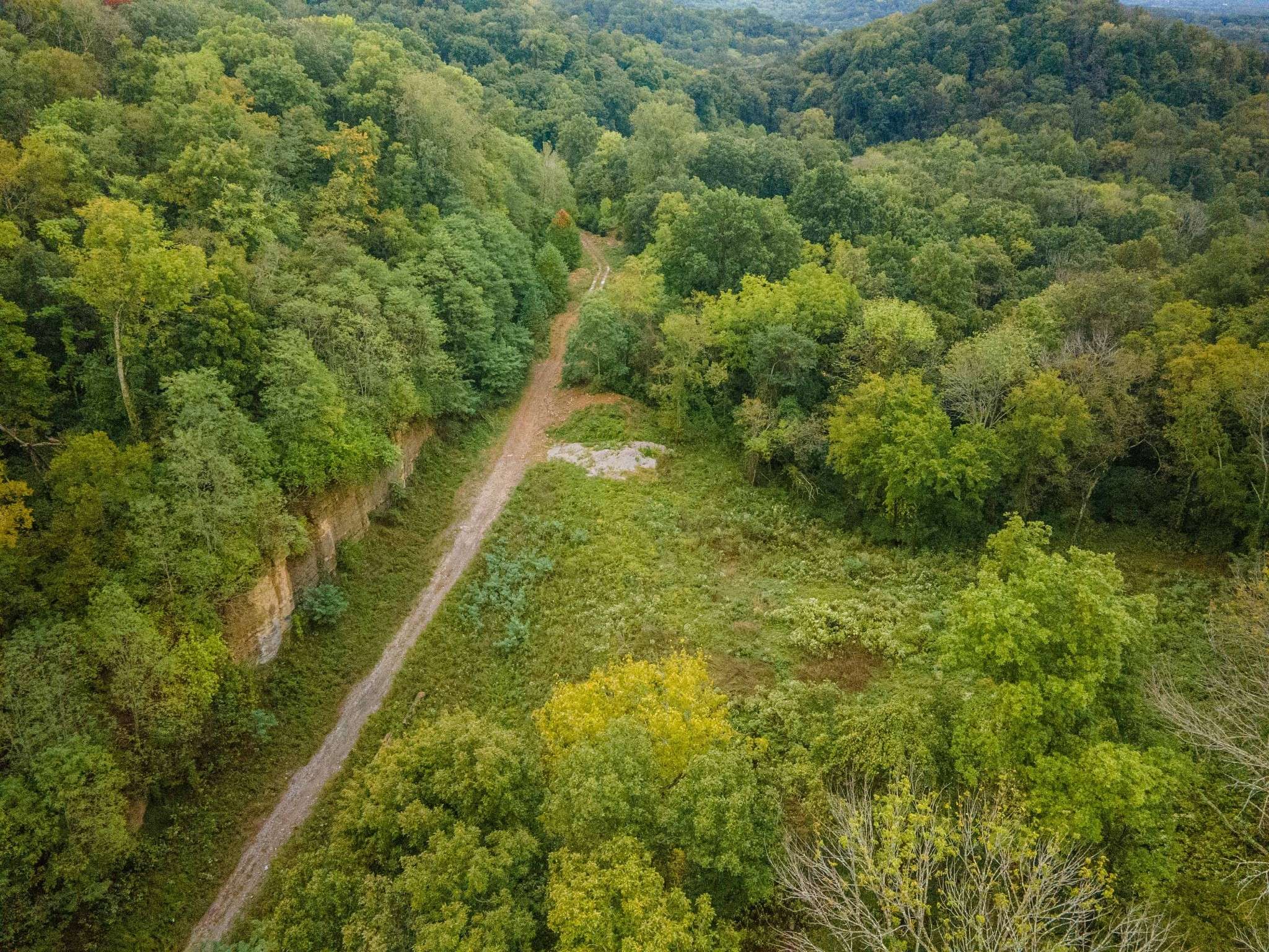 1015 Cartwright Close Dr, Brentwood, TN 37027