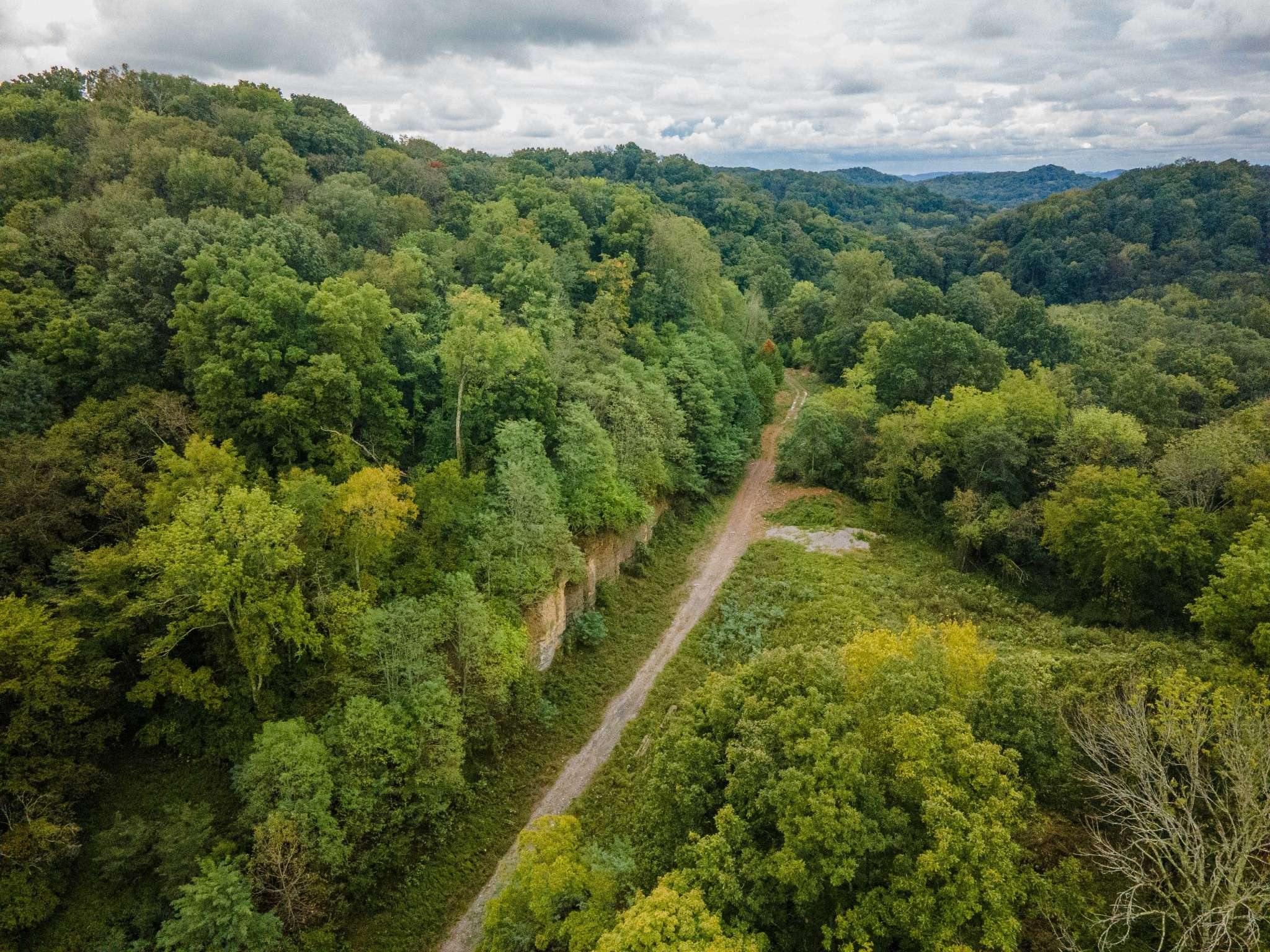 1015 Cartwright Close Dr, Brentwood, TN 37027