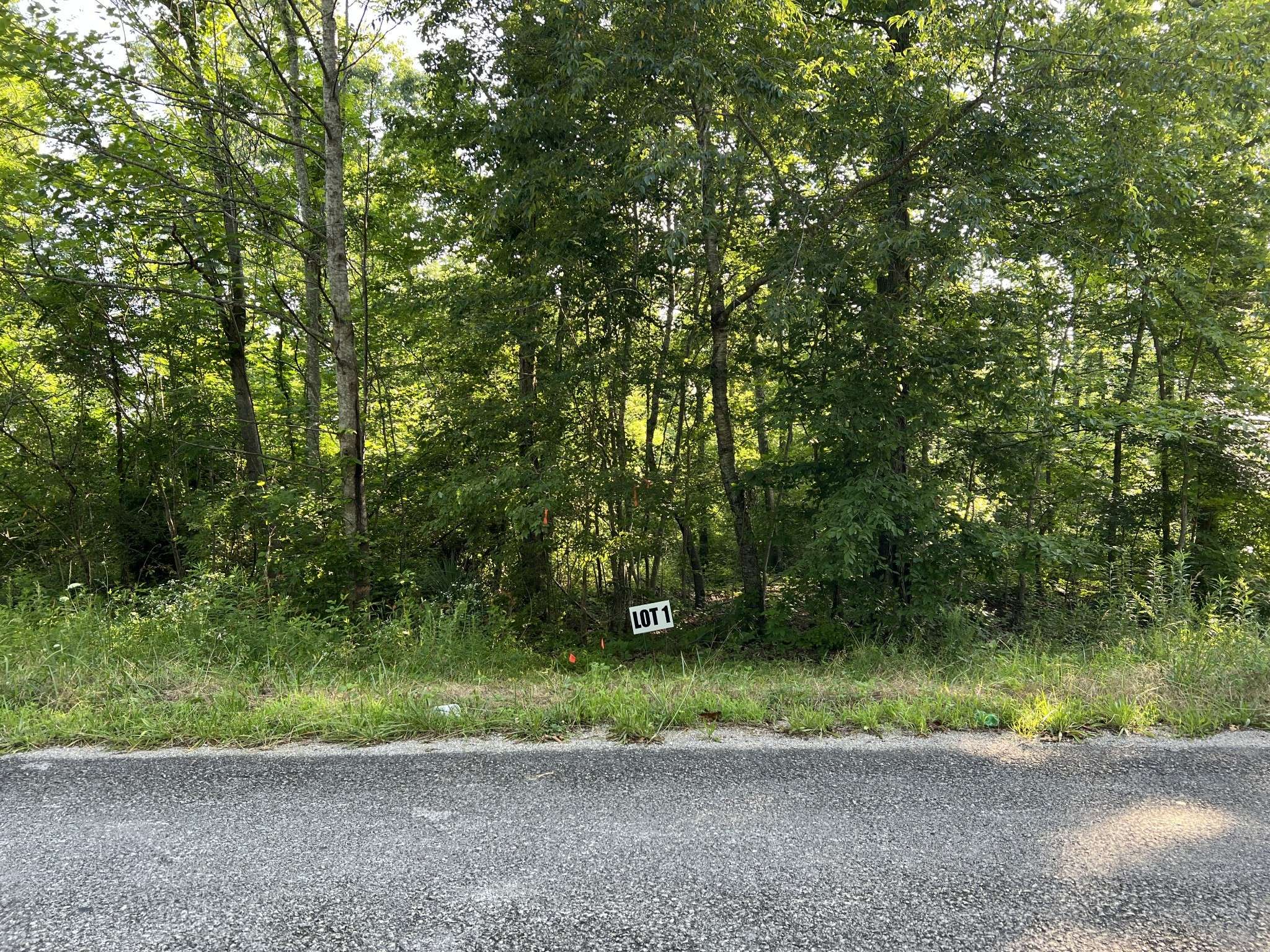 1 Slaughter Rd, Primm Springs, TN 38476