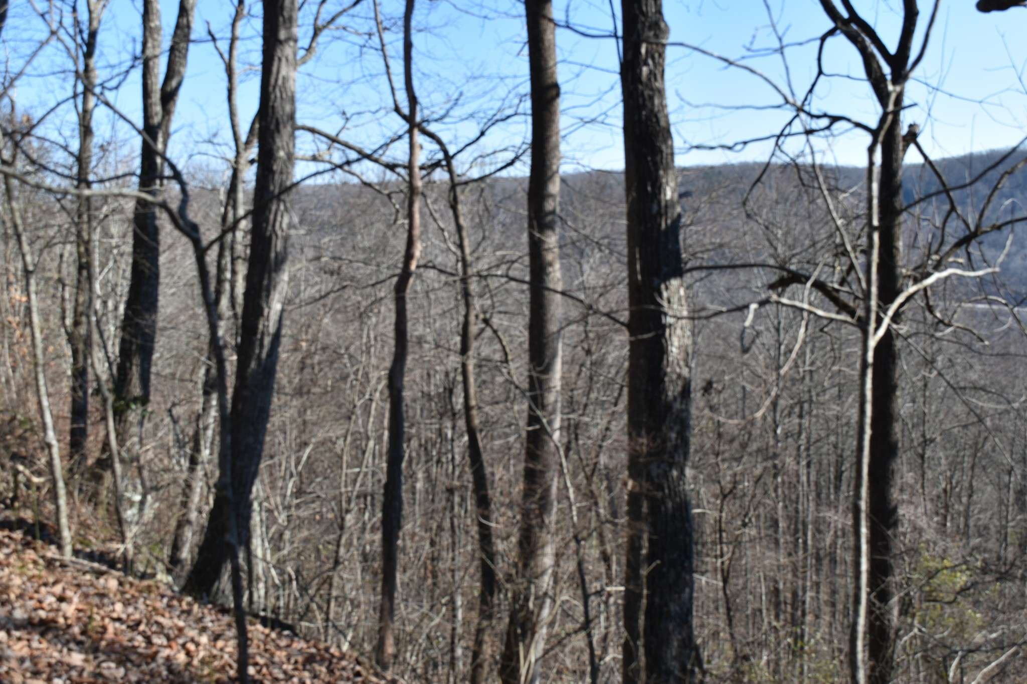 21 Laurel Lake Dr, Monteagle, TN 37356