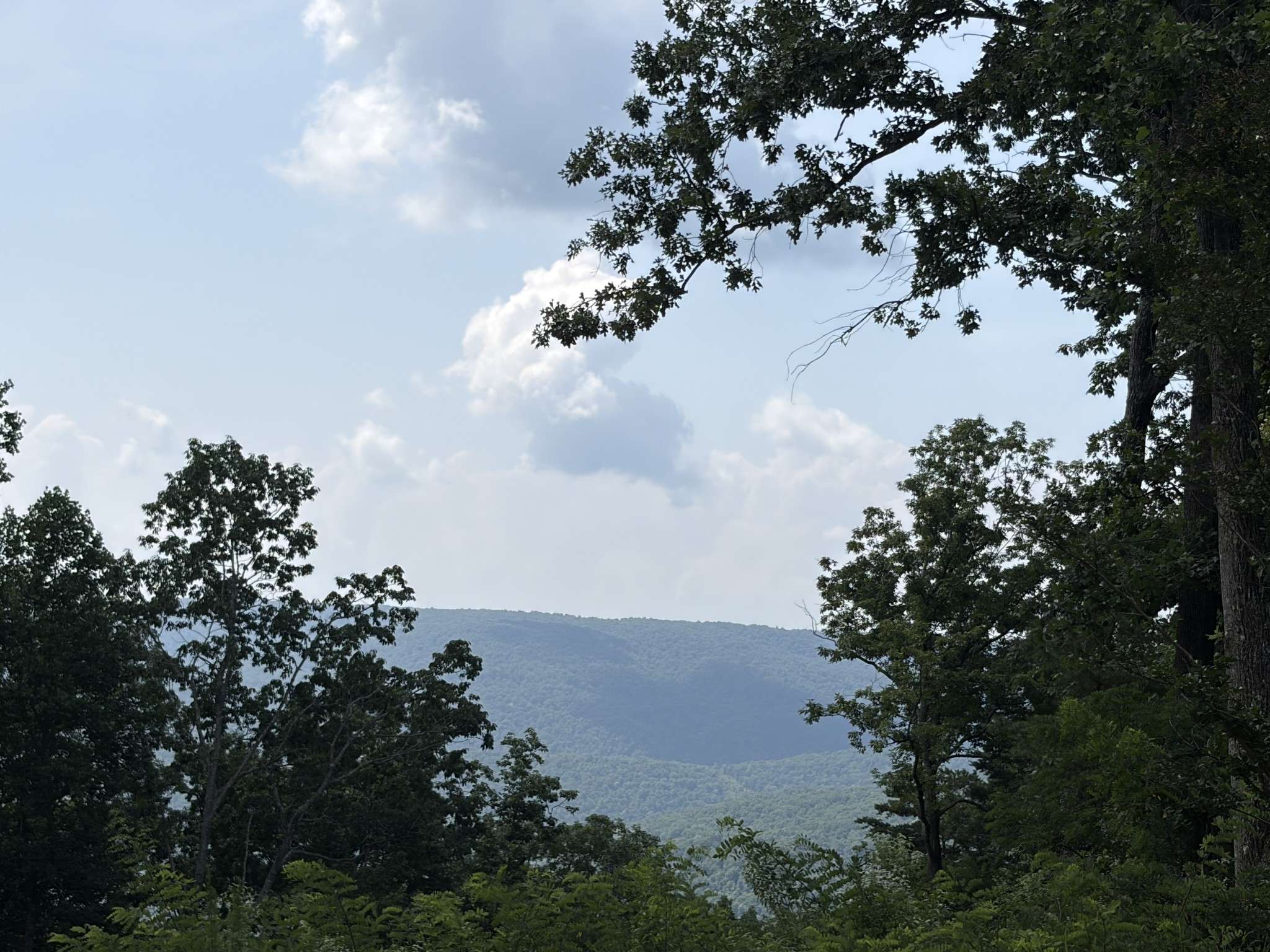 21 Laurel Lake Dr, Monteagle, TN 37356