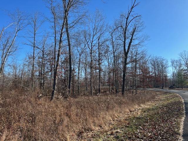 3 Slaughter Rd, Primm Springs, TN 38476