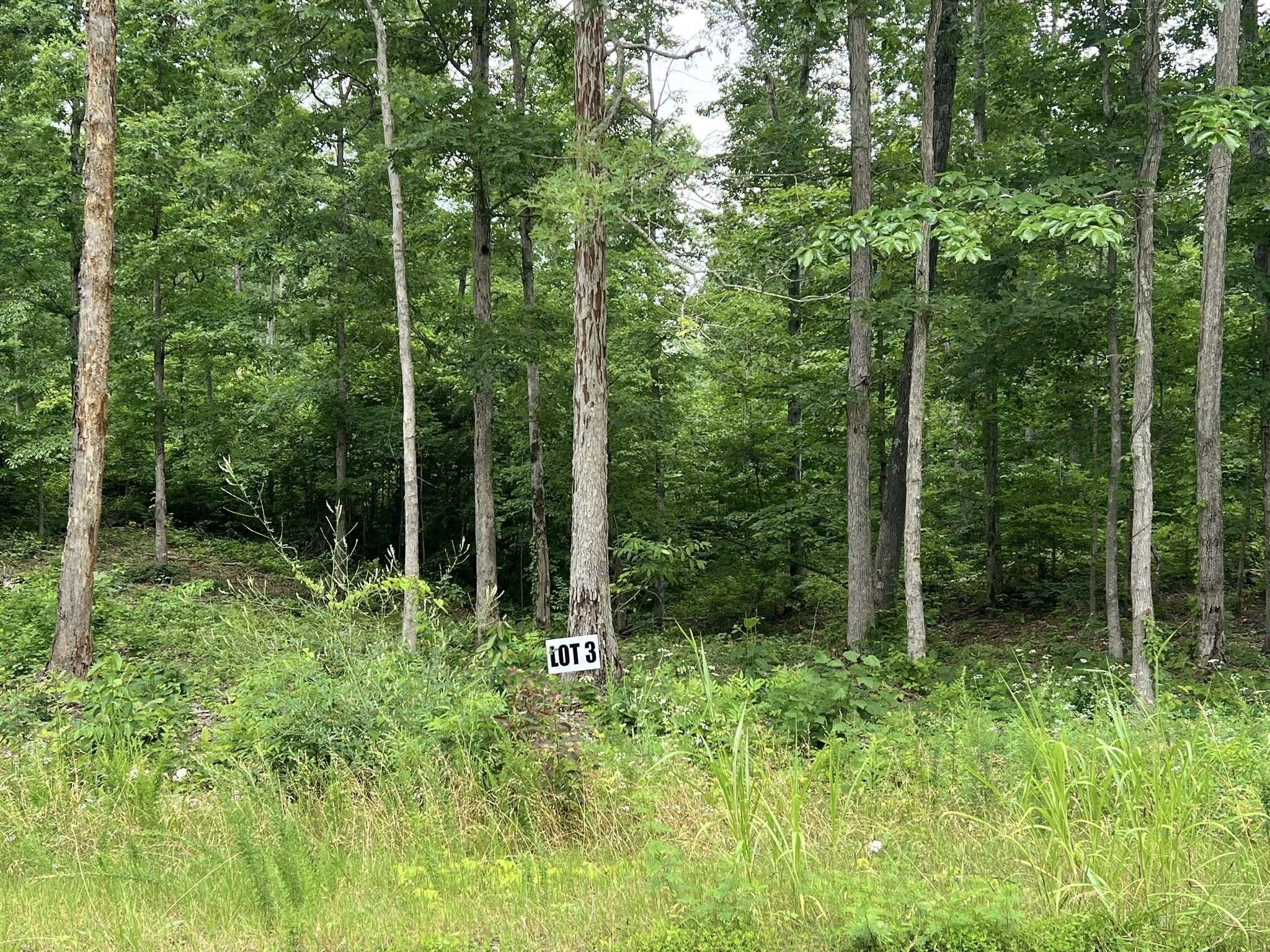 3 Slaughter Rd, Primm Springs, TN 38476