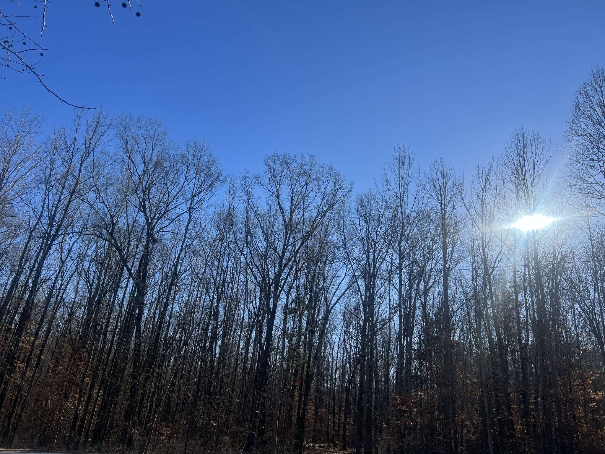 0 Excalibur Trail, Cedar Grove, TN 38321