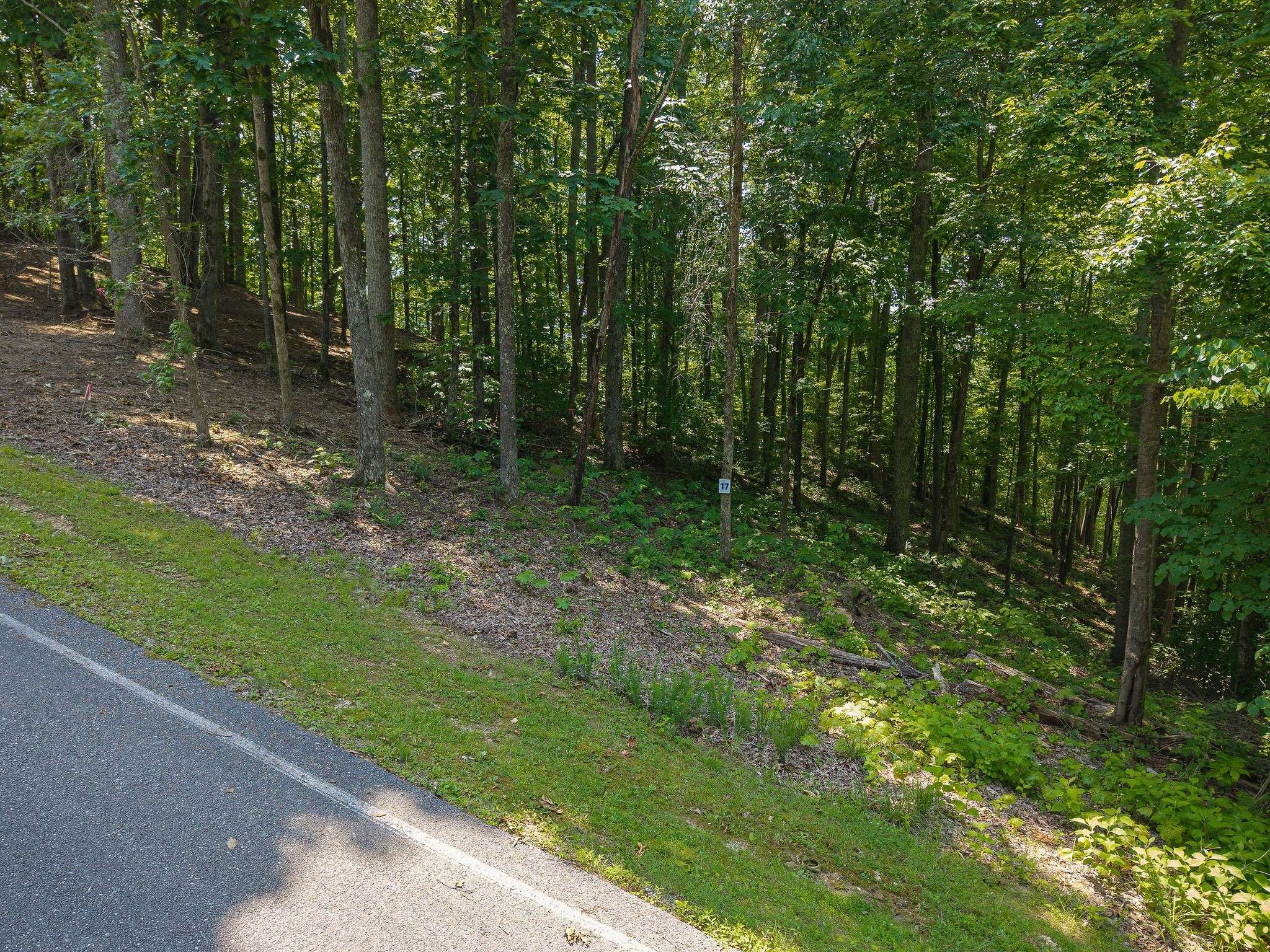 0 Bridge Pointe Rd, Sparta, TN 38583