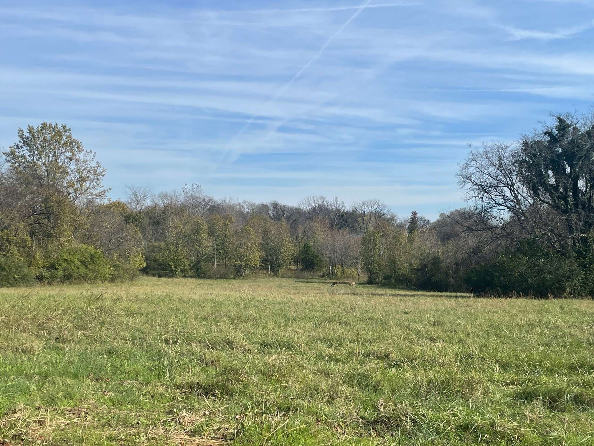 0 Blythe Ave, Gallatin, TN 37066