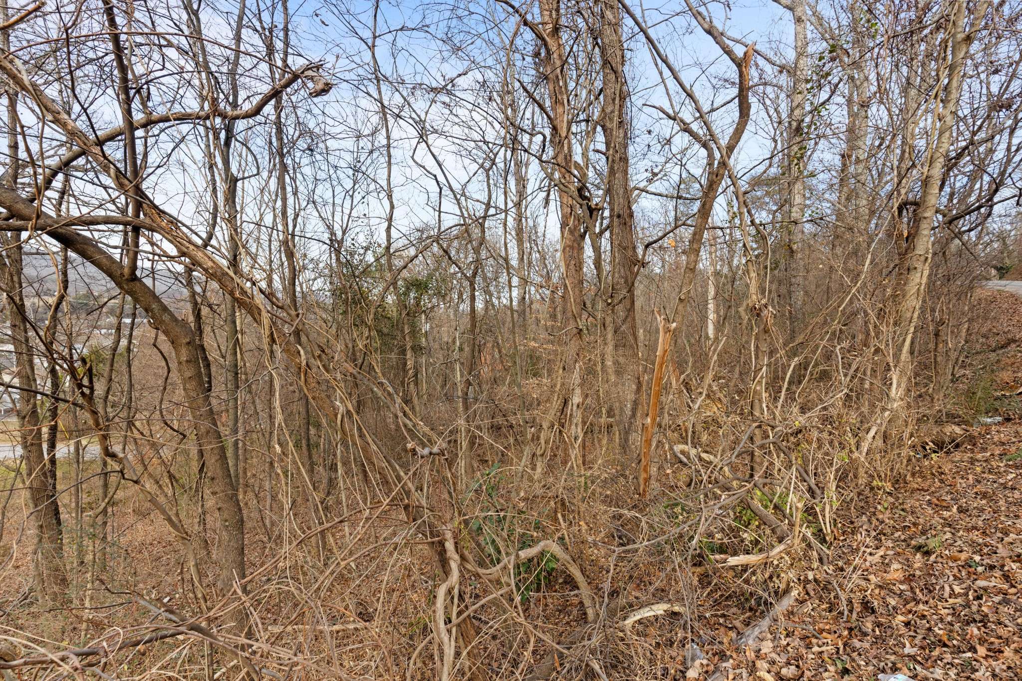 0 Orlando Dr., Chattanooga, TN 37415
