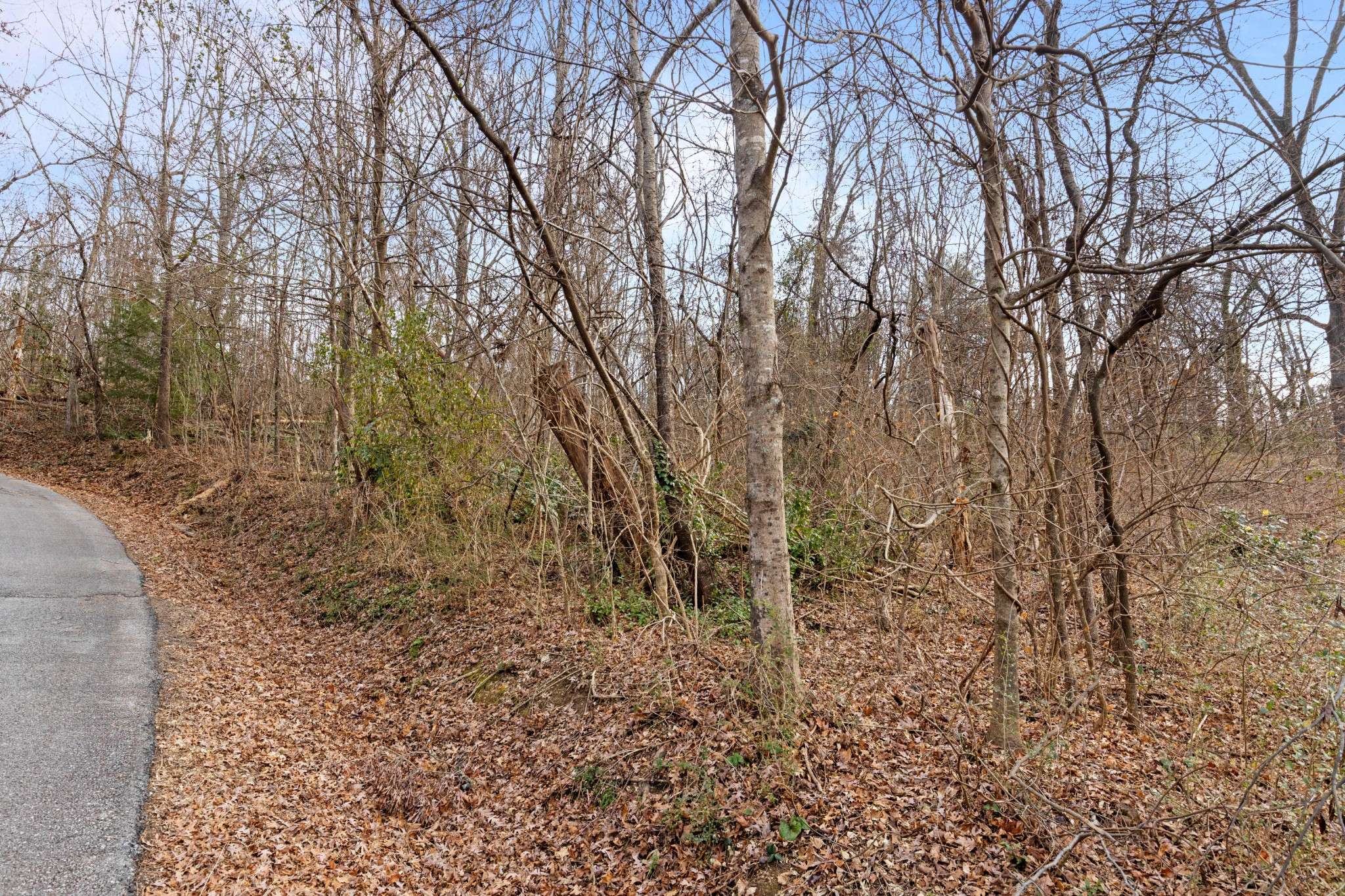 0 Orlando Dr., Chattanooga, TN 37415