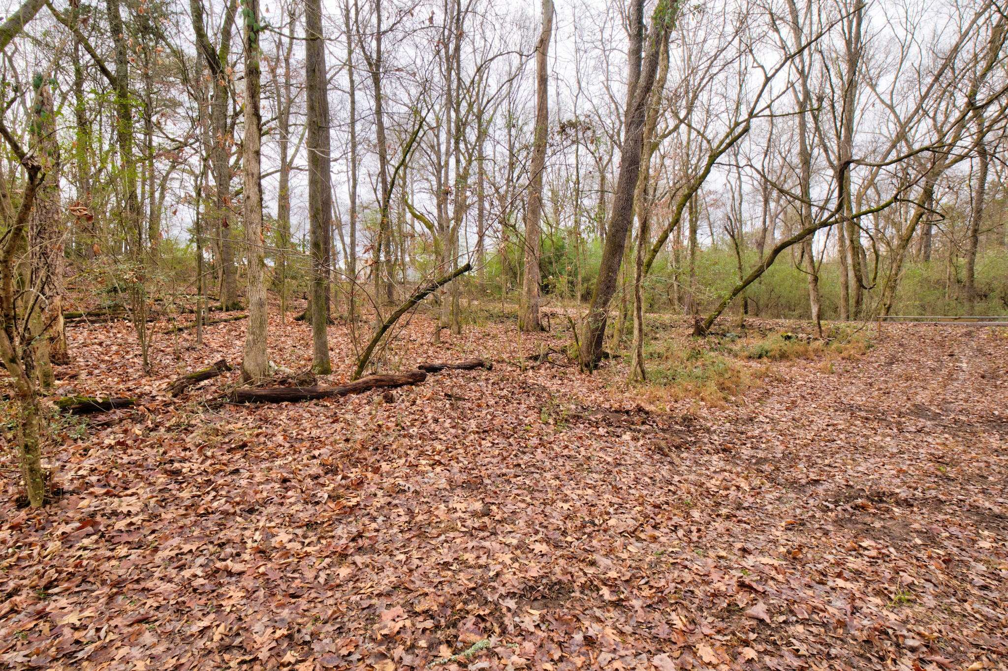 242013410 N Shore Acres Lisa Ln Road, Soddy Daisy, TN 37379