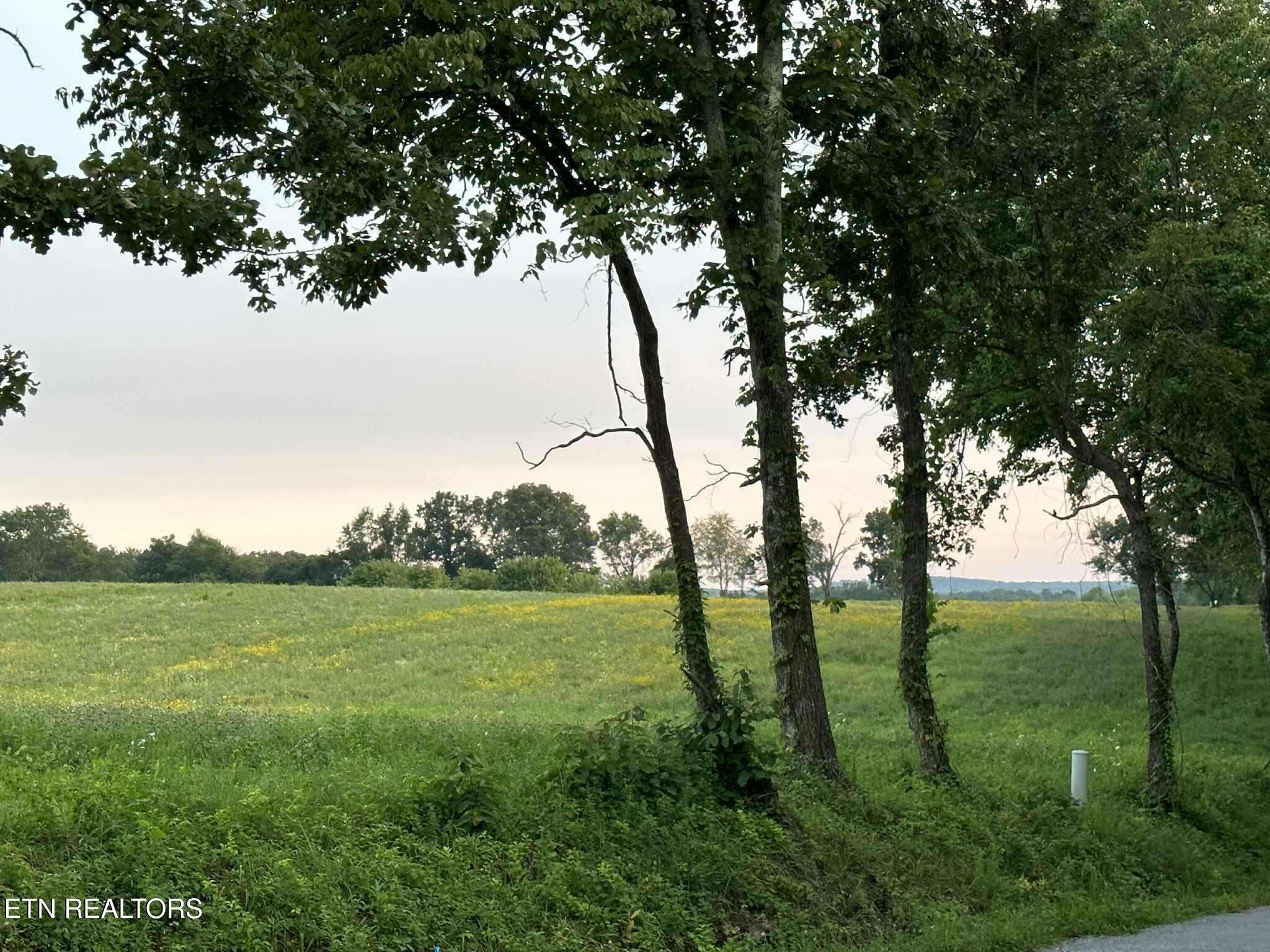 0 Smith Mountain Rd, Rockwood, TN 37854