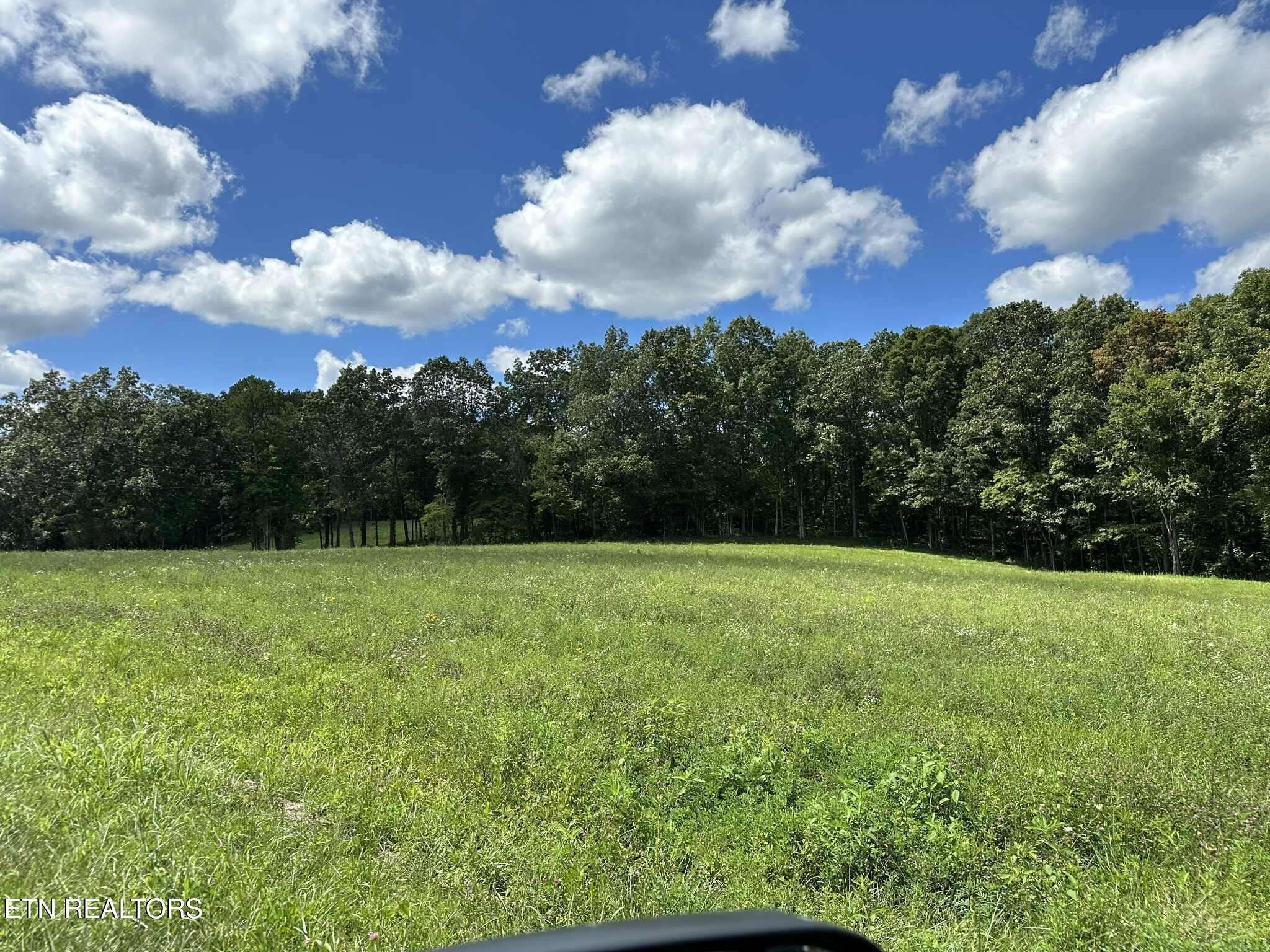 0 Smith Mountain Rd, Rockwood, TN 37854