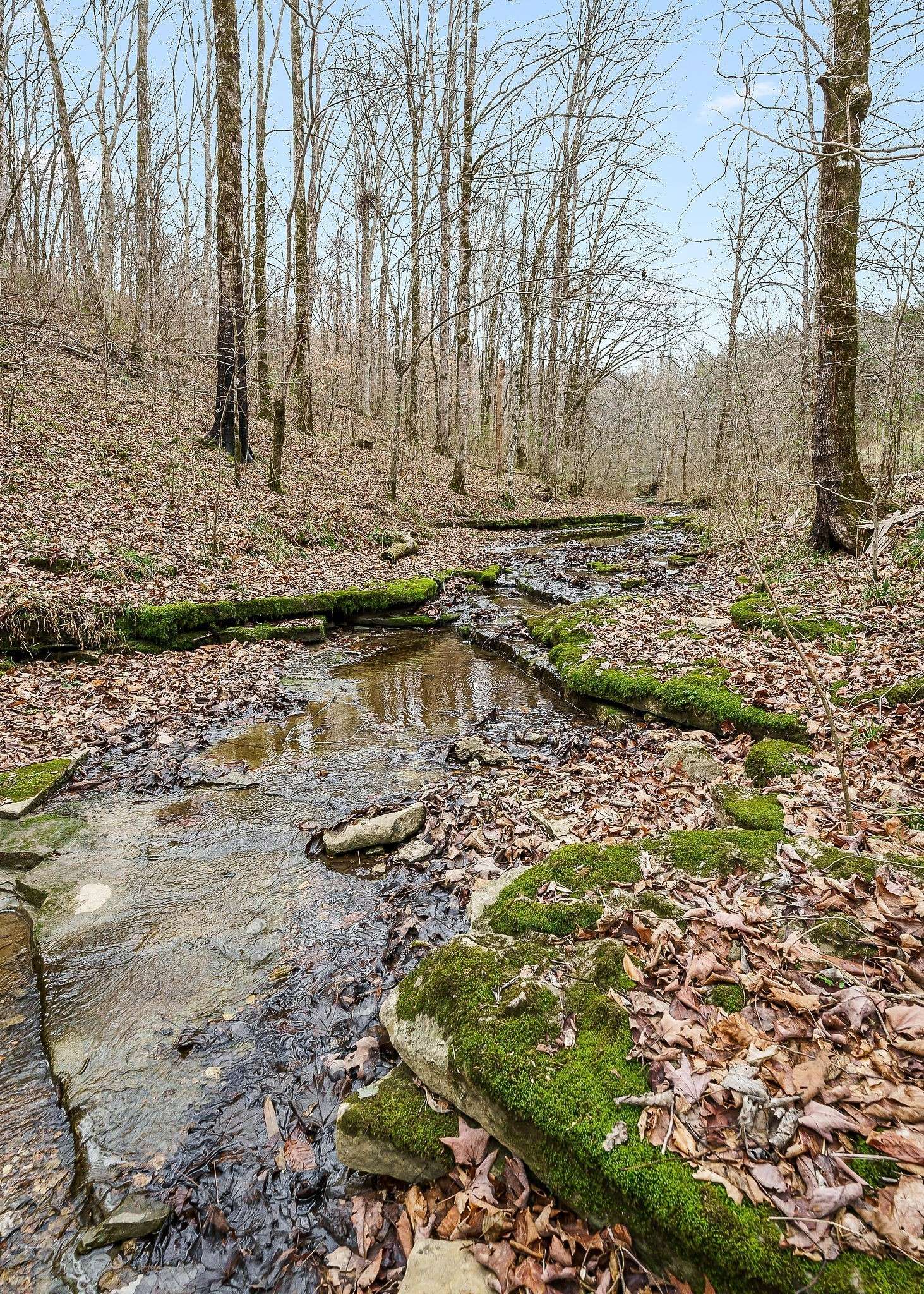 0 Lancaster Hwy, Hickman, TN 38567