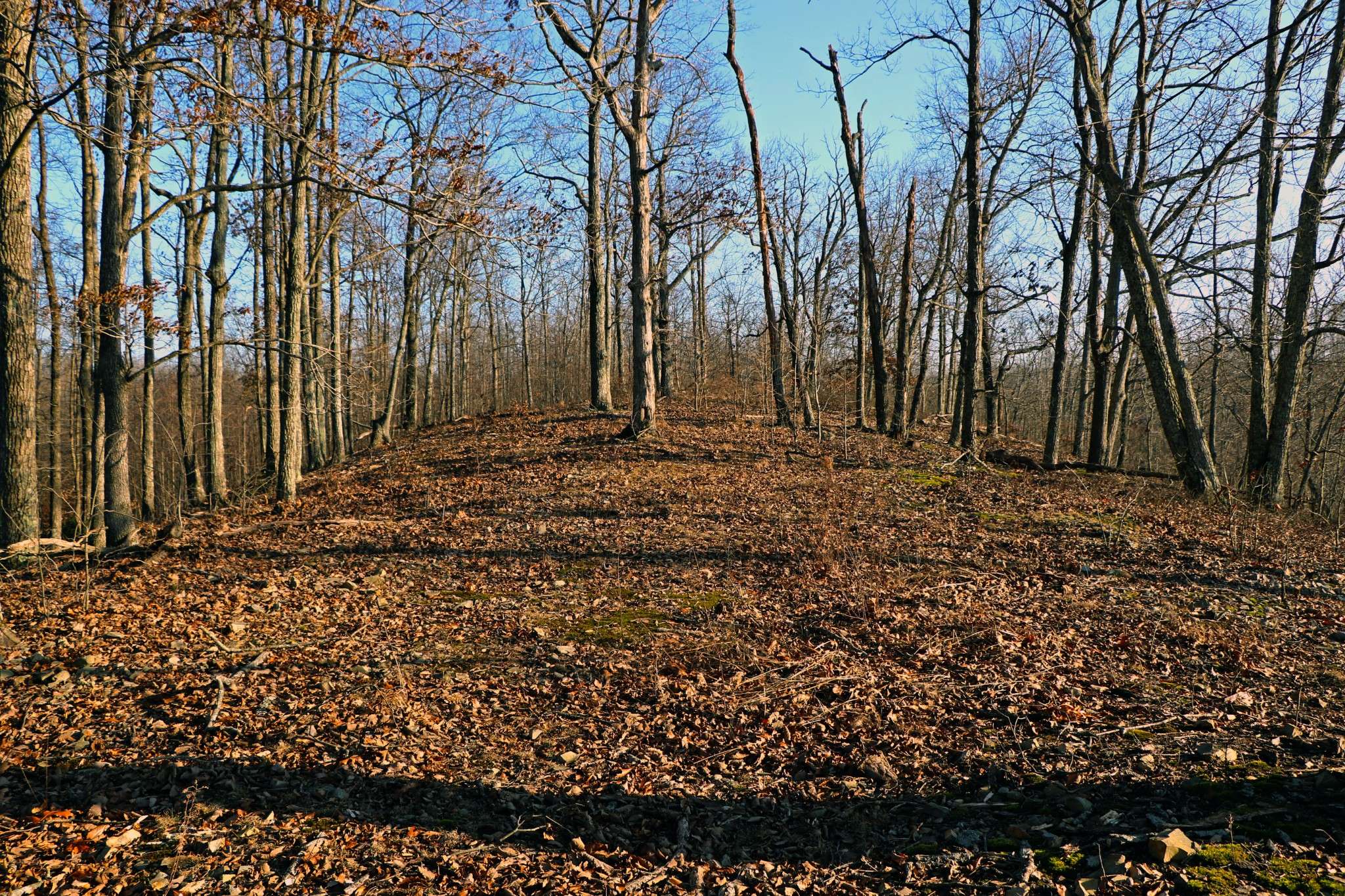 0 Ridge Top Rd, Stewart, TN 37175