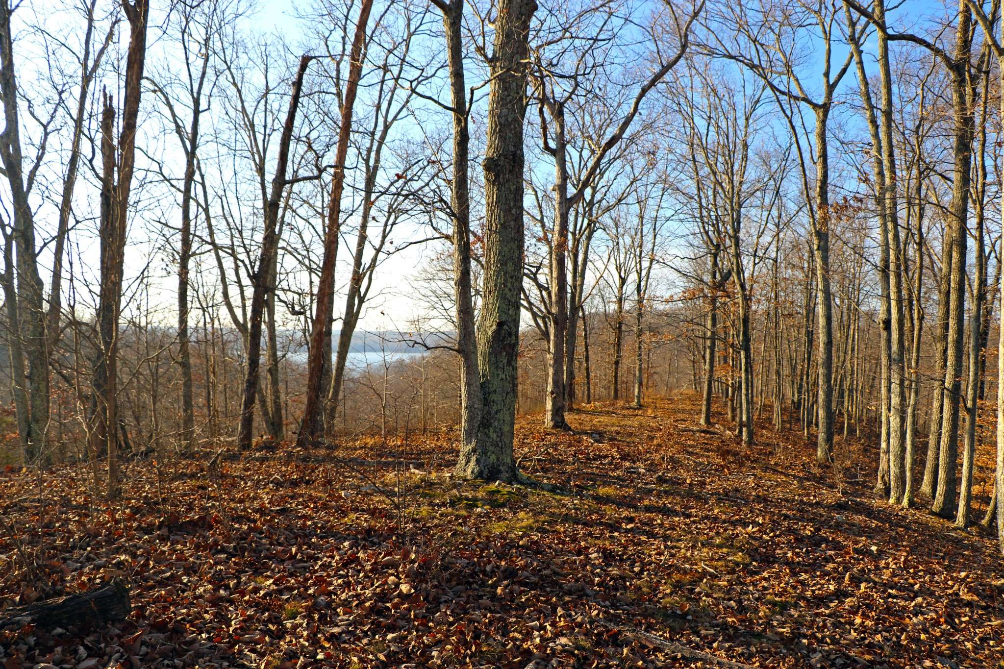 0 Ridge Top Rd, Stewart, TN 37175