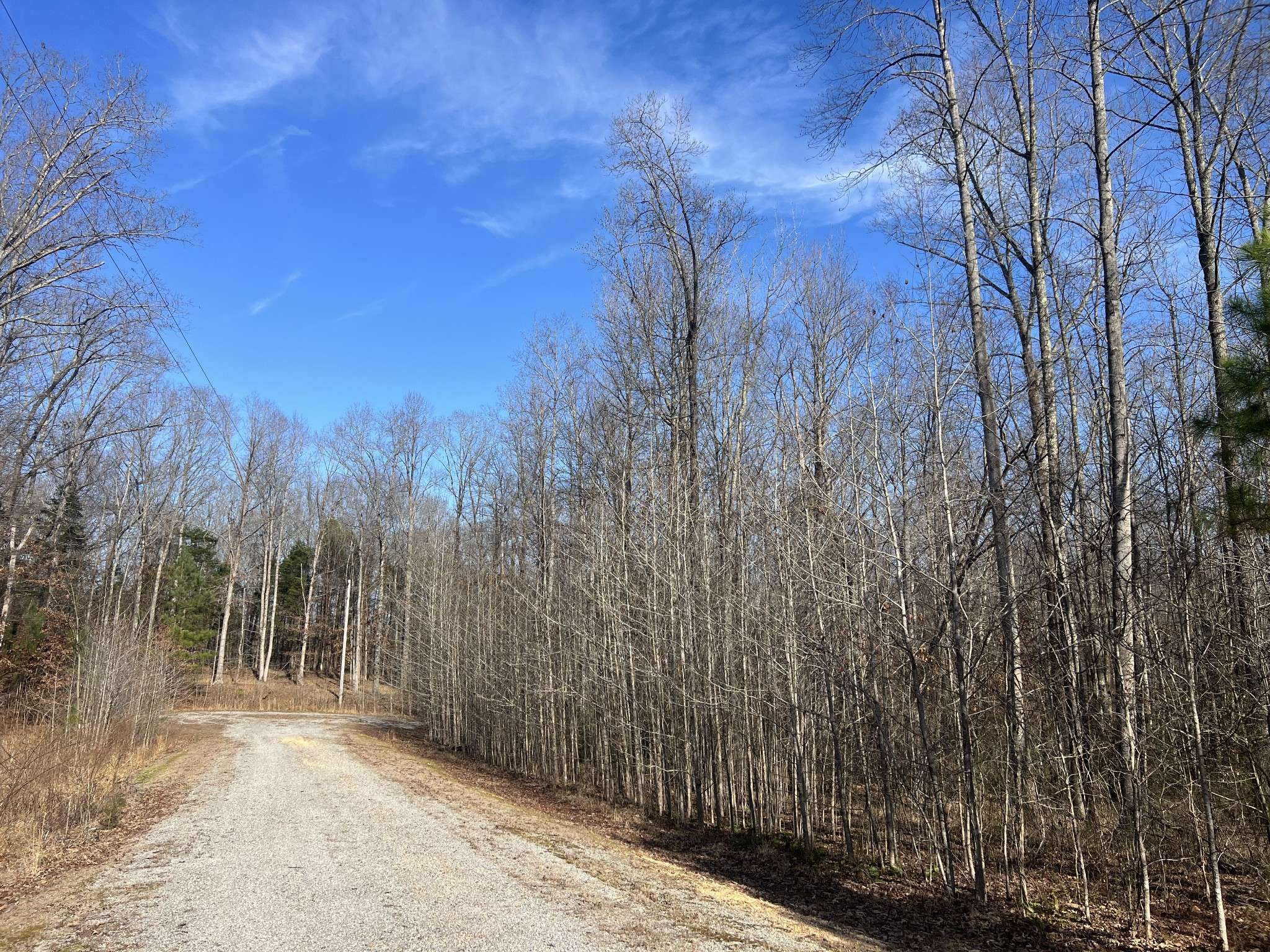 240 War Eagle Dr, Cedar Grove, TN 38321