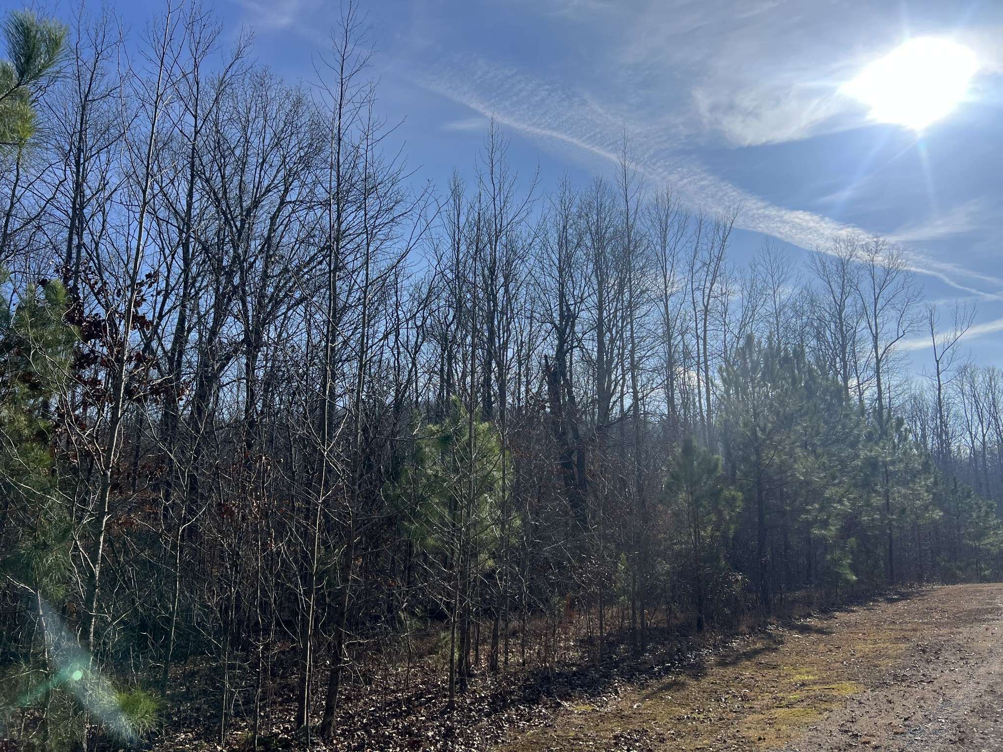 240 War Eagle Dr, Cedar Grove, TN 38321