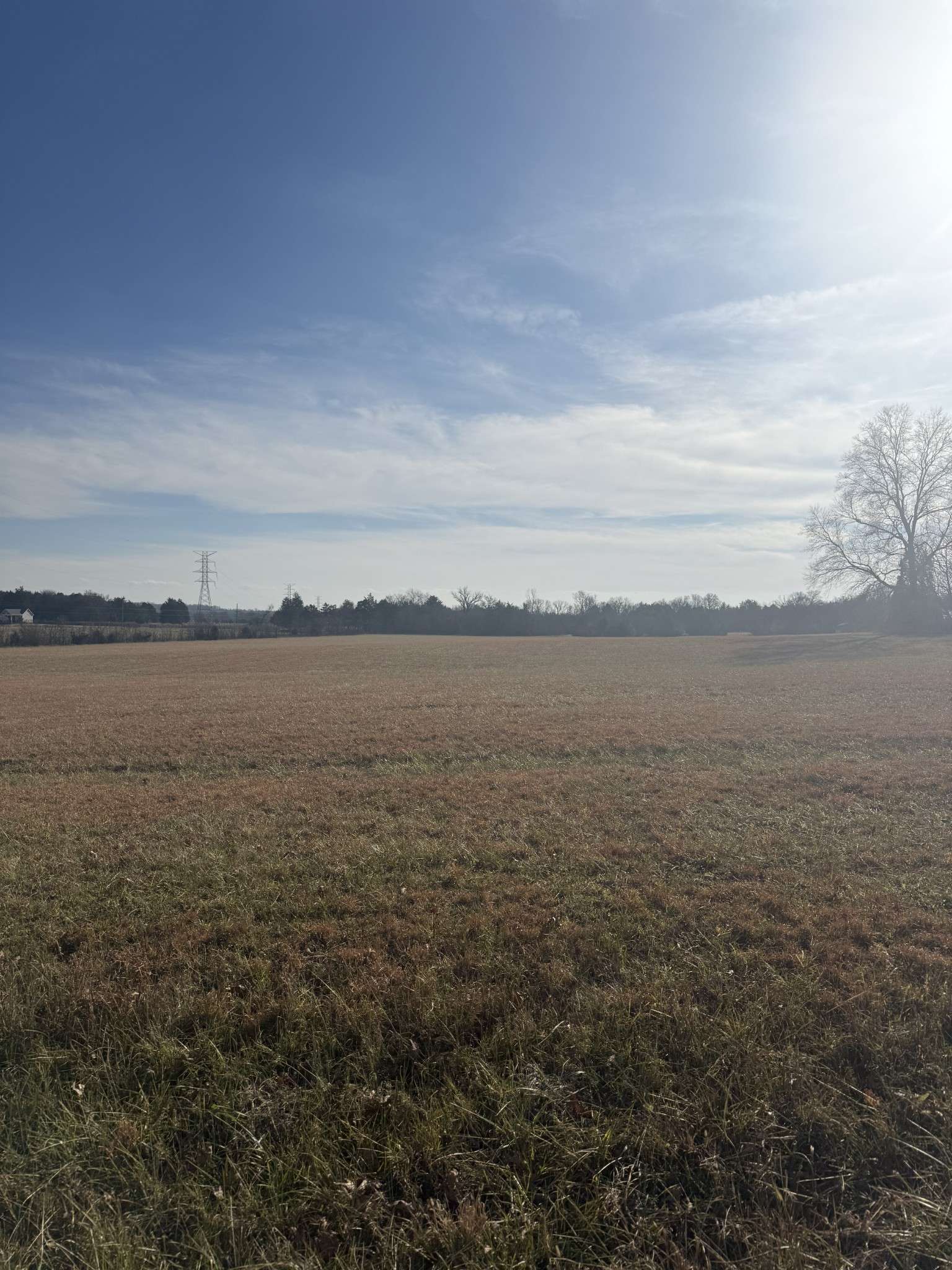 2326 Holly Grove road, Lascassas, TN 37085