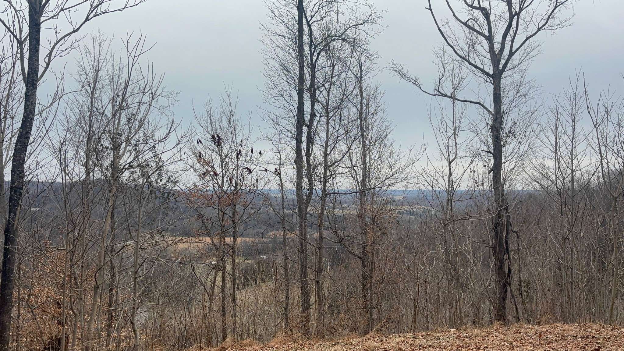 0 Crooked Hill Rd, Pulaski, TN 38478