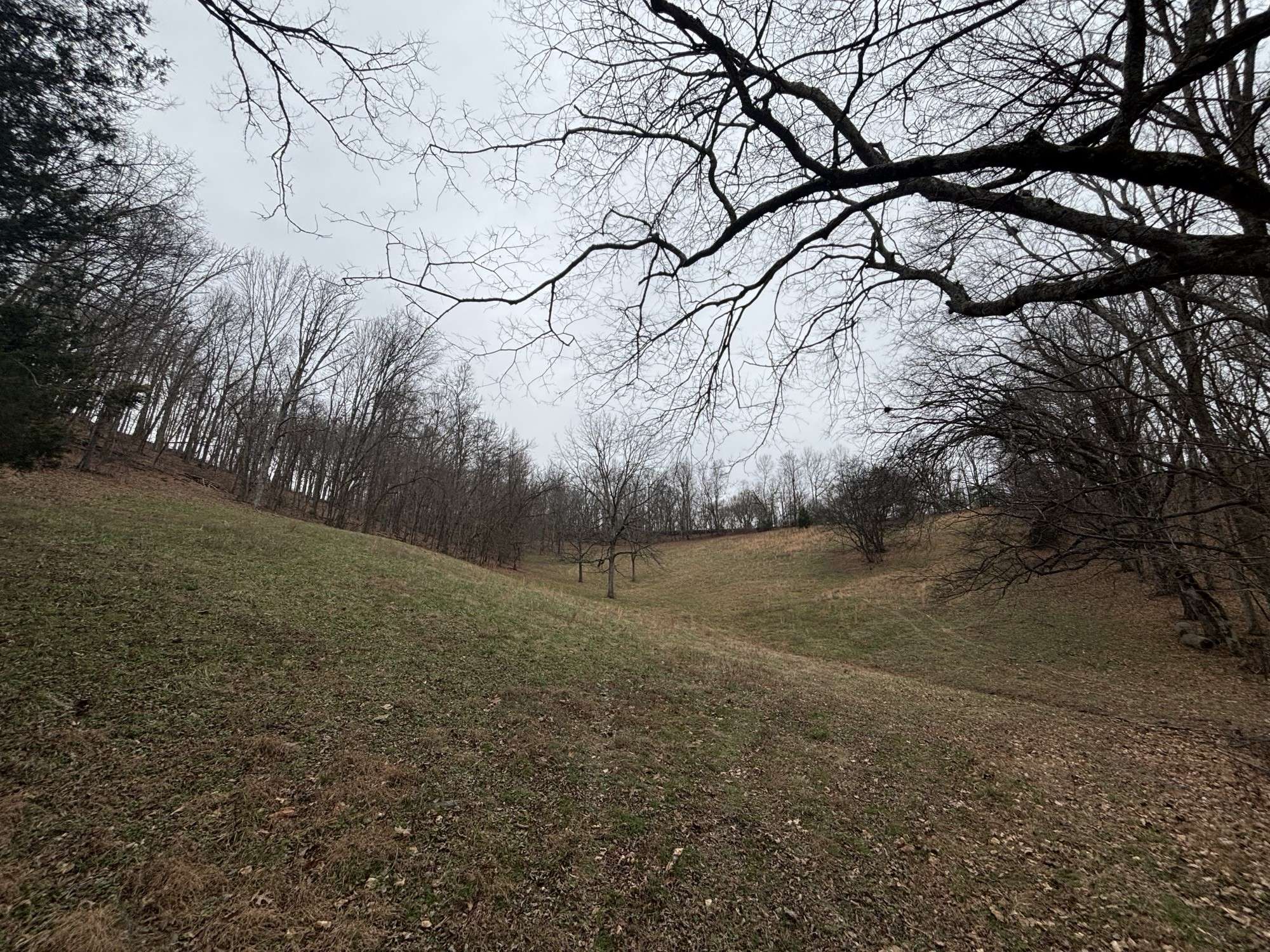 0 Crooked Hill Rd, Pulaski, TN 38478