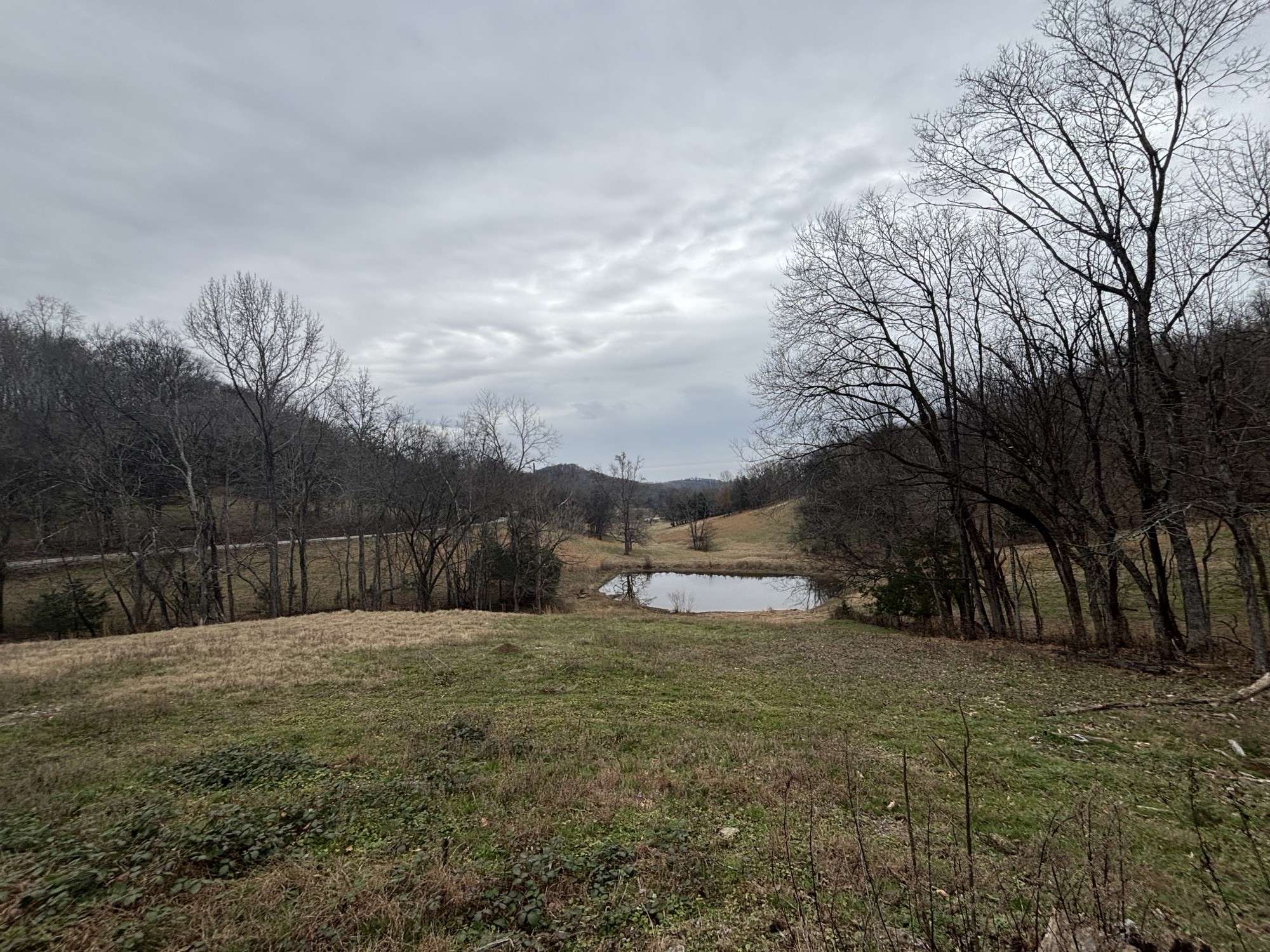 0 Crooked Hill Rd, Pulaski, TN 38478