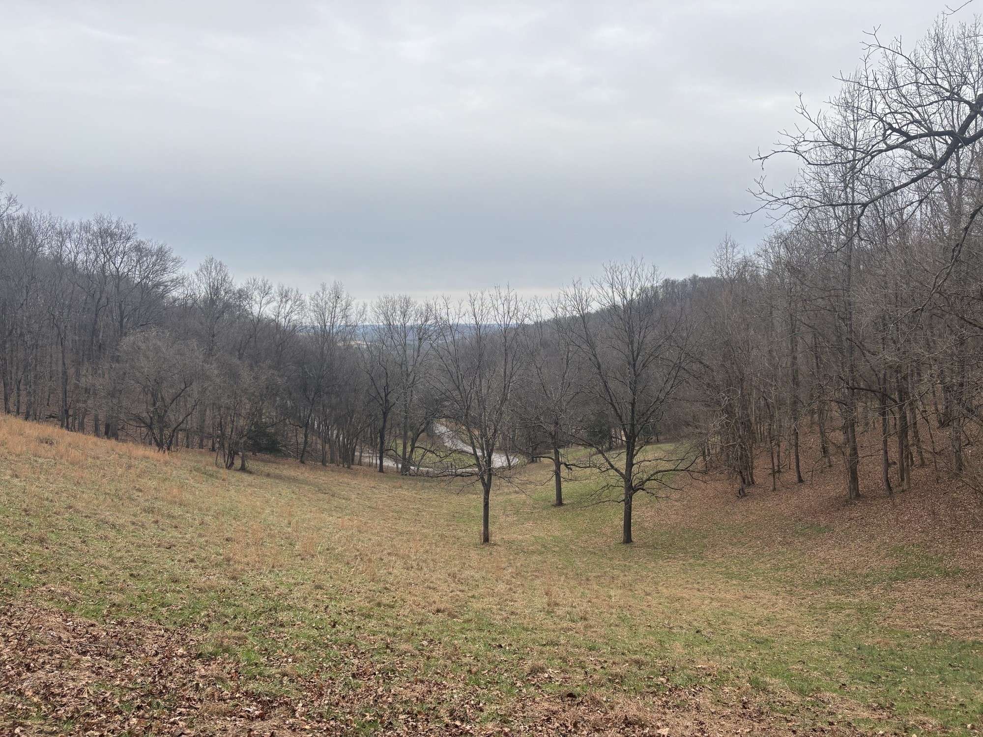 0 Crooked Hill Rd, Pulaski, TN 38478