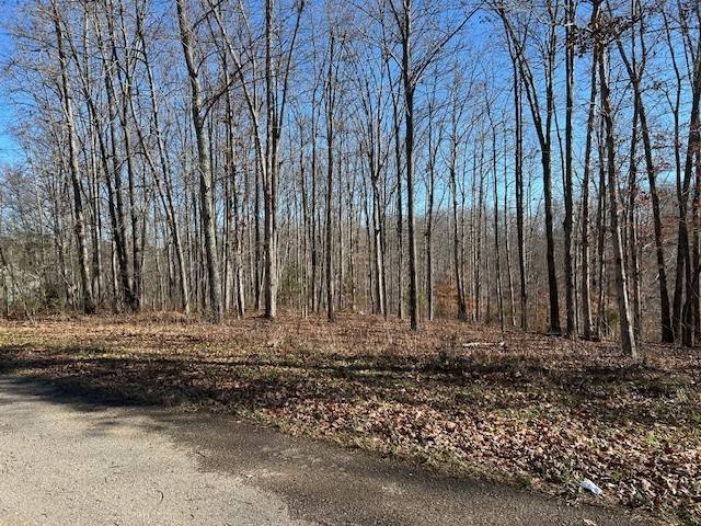 6 Slaughter Rd, Primm Springs, TN 38476