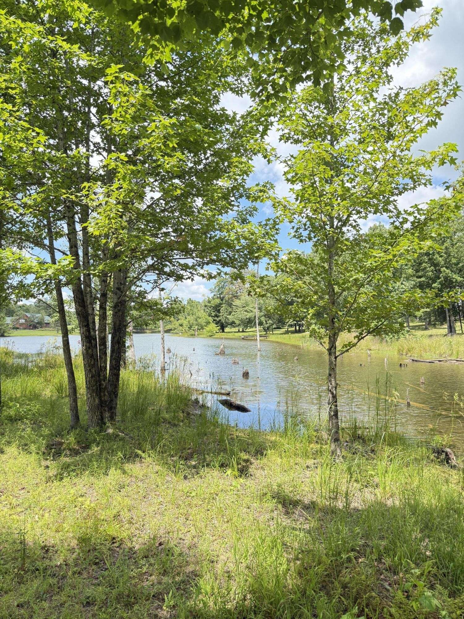 6 Greenfields Way #N, Dunlap, TN 37327